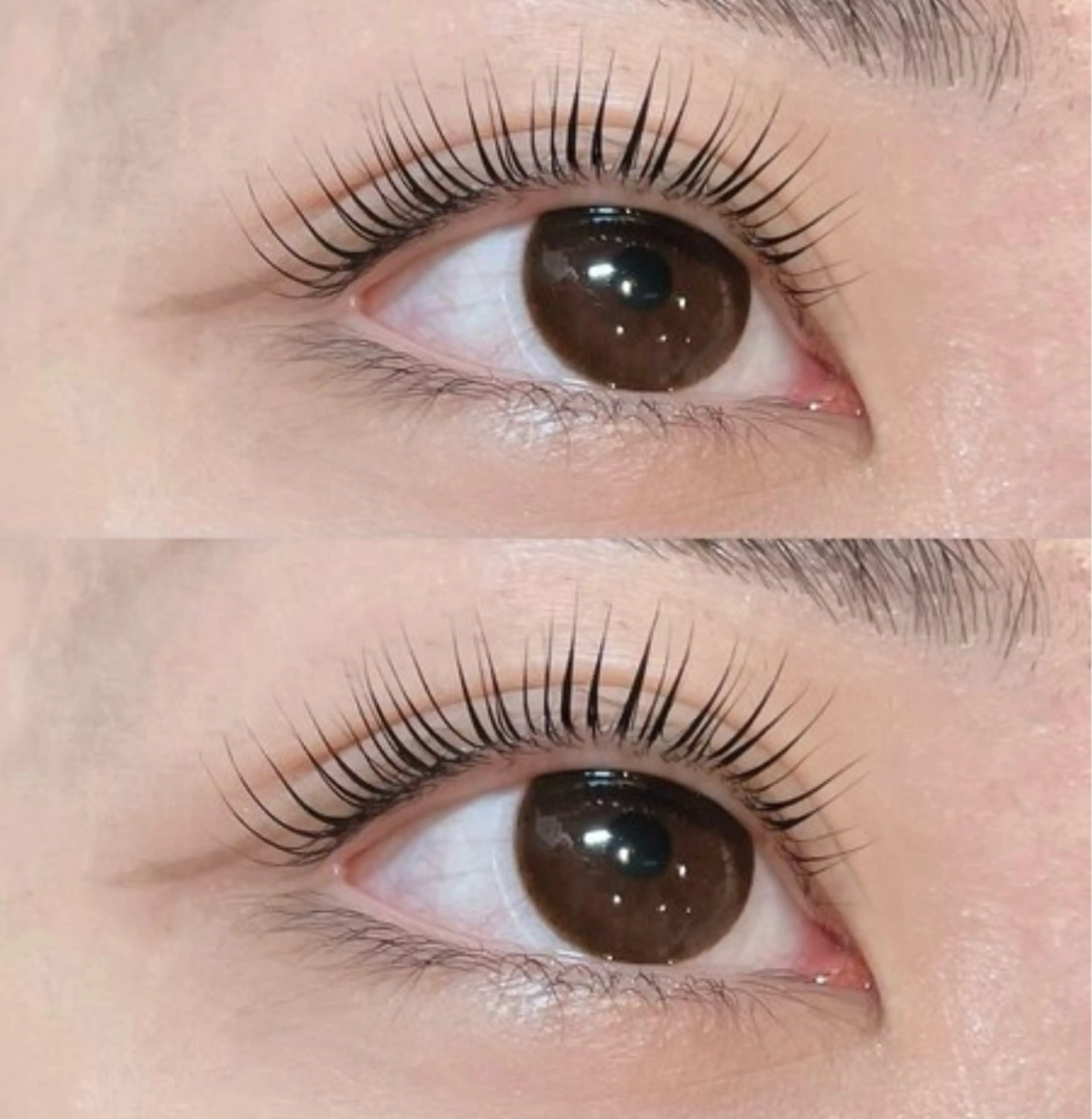 🍓まつ毛にノーダメージ💫コスメティックラッシュリフト👀🩶の写真