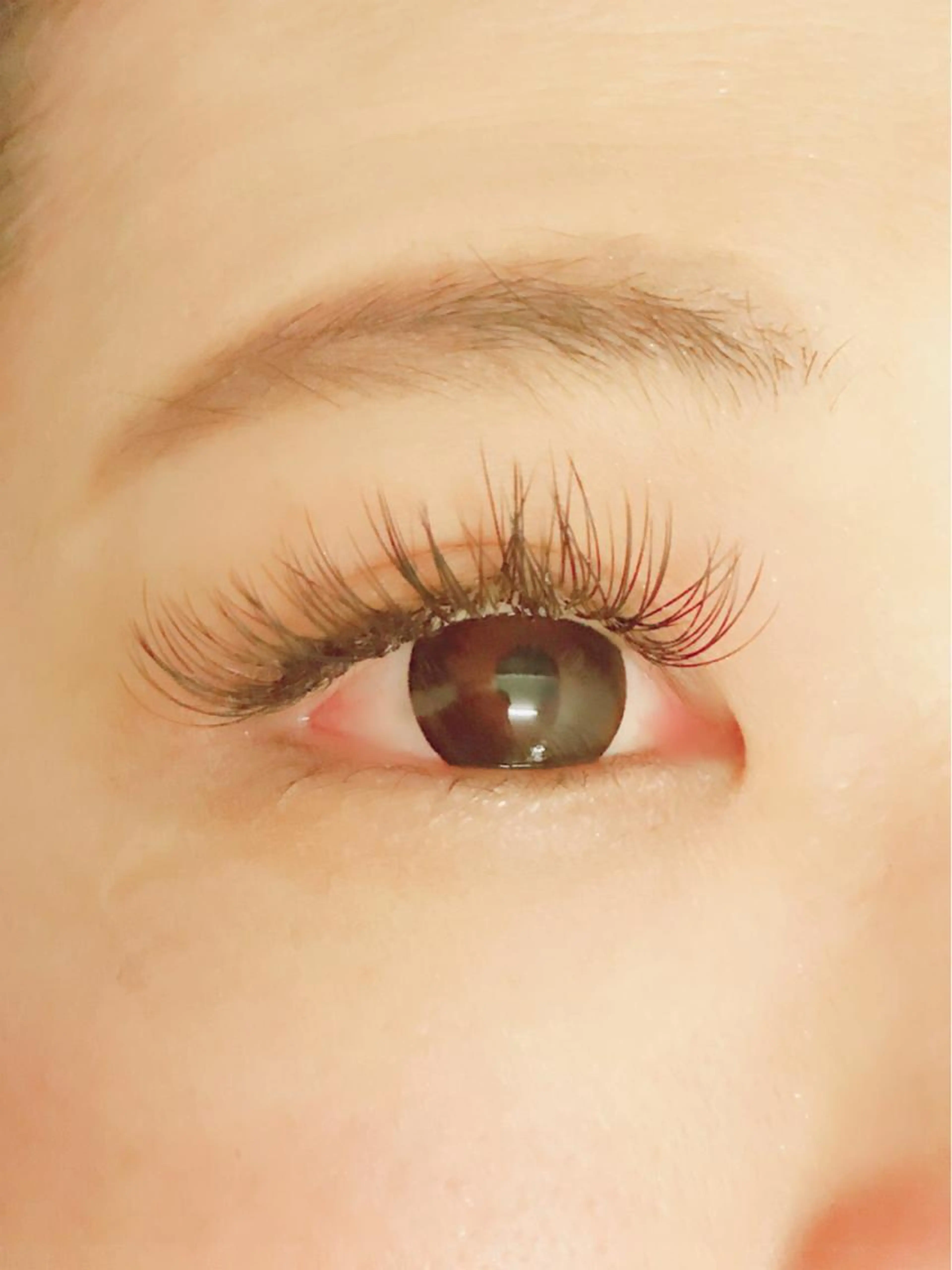 大人気フラットラッシュ120本の写真