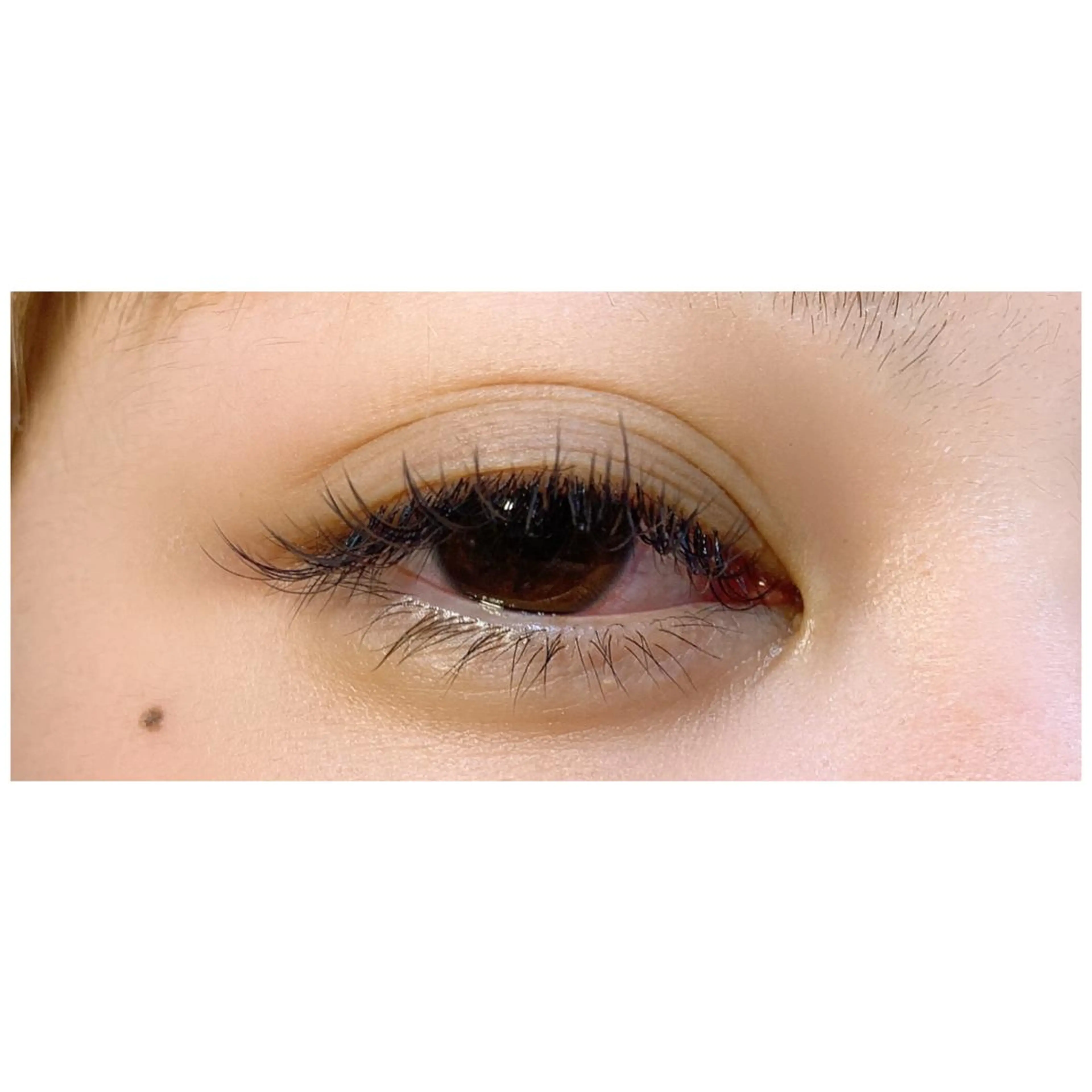 マツエク・マツパ マツエク Tani seikaのマツエク・マツパデザイン