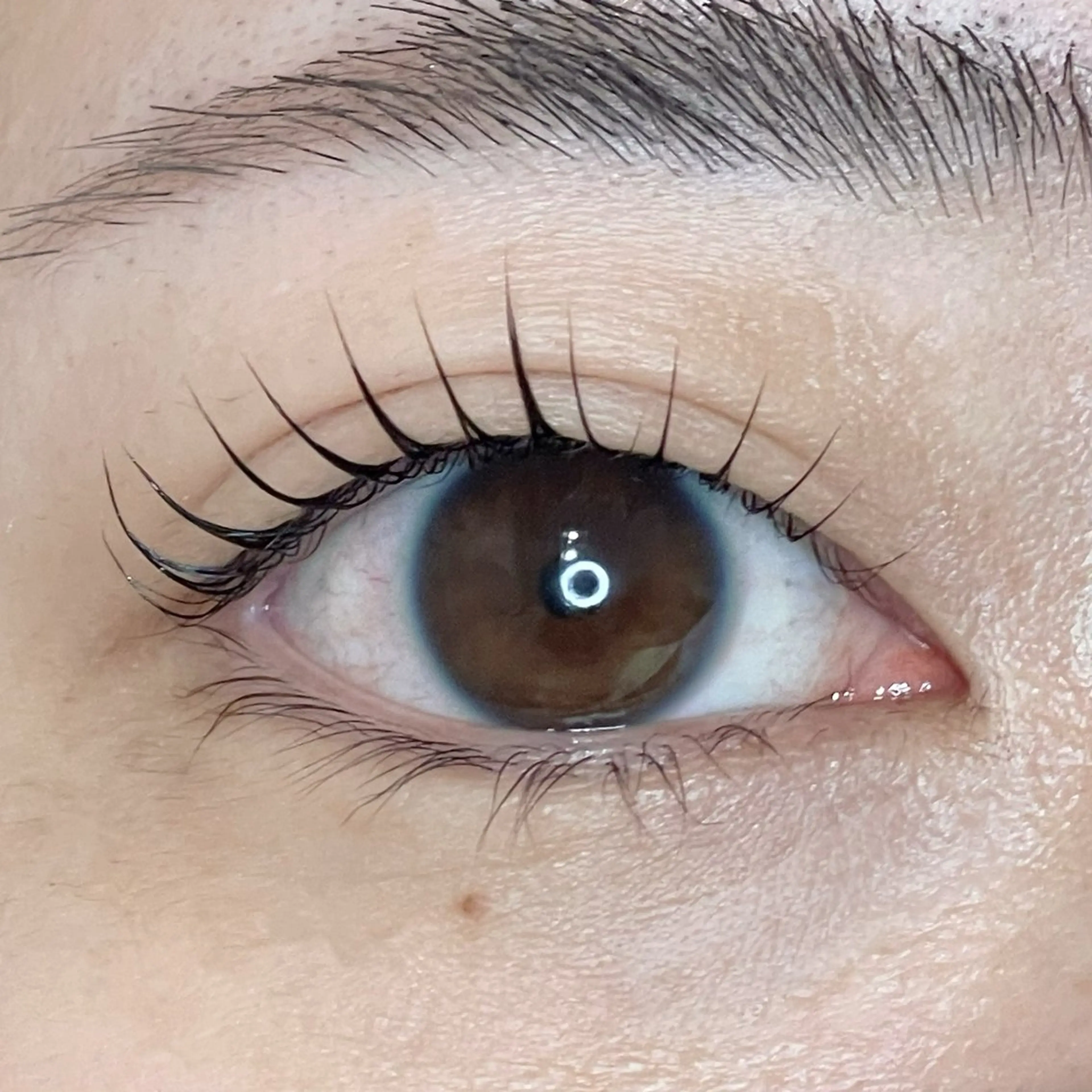 マツエク・マツパ EYELA亀田店 田高のマツエク・マツパデザイン