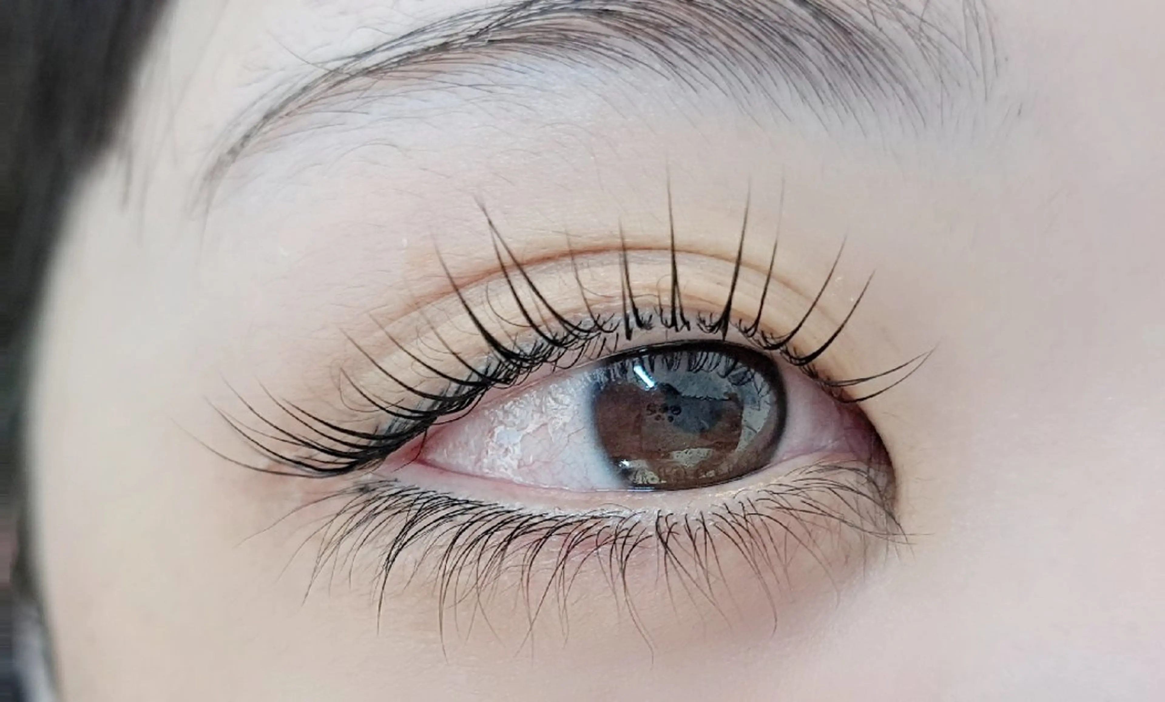 マツエク・マツパ cocolash　町屋店所属・cocolash 🧸のマツエク・マツパデザイン