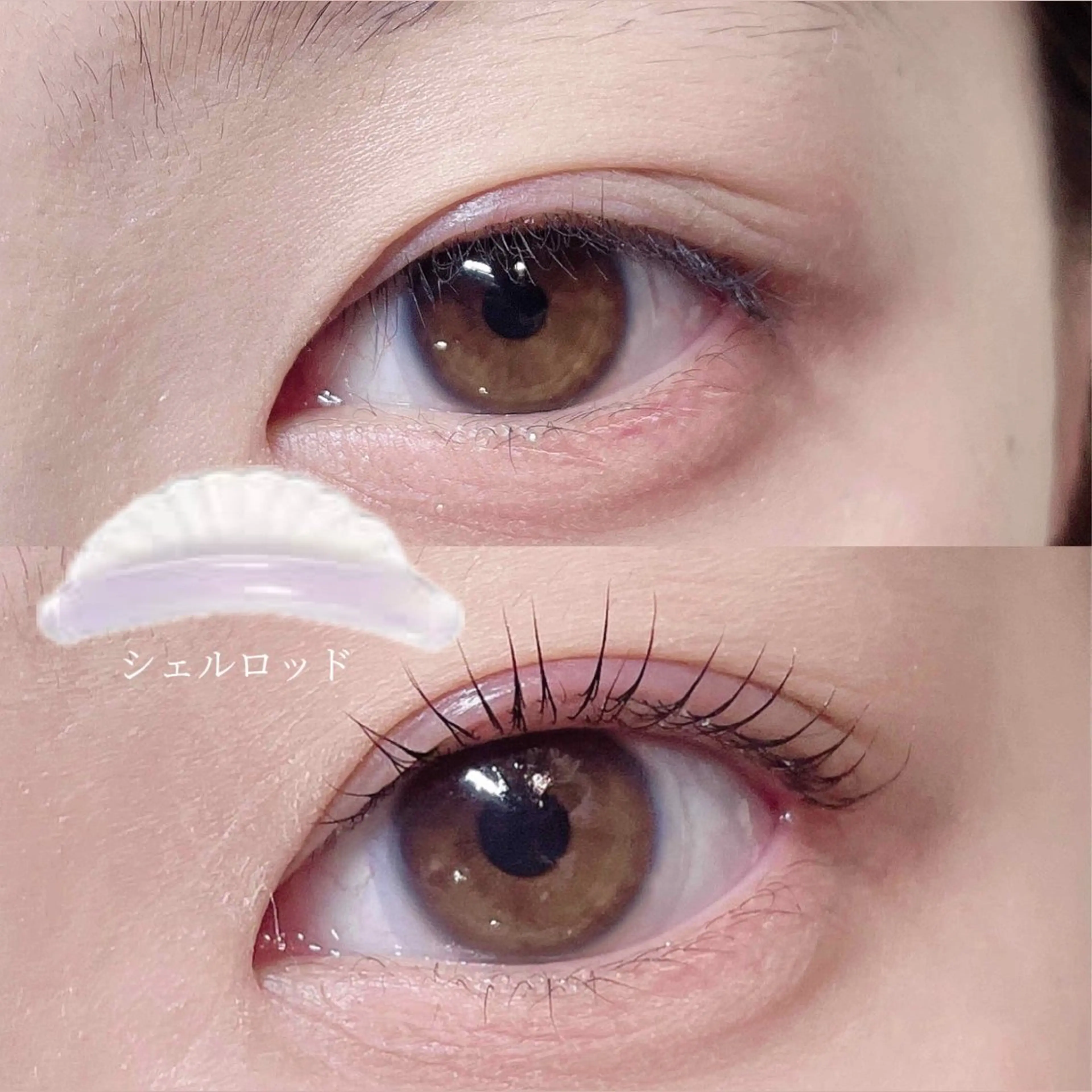 マツエク・マツパ マツパ 🎀Lino 中目黒 TAKAMI🐈のマツエク・マツパデザイン