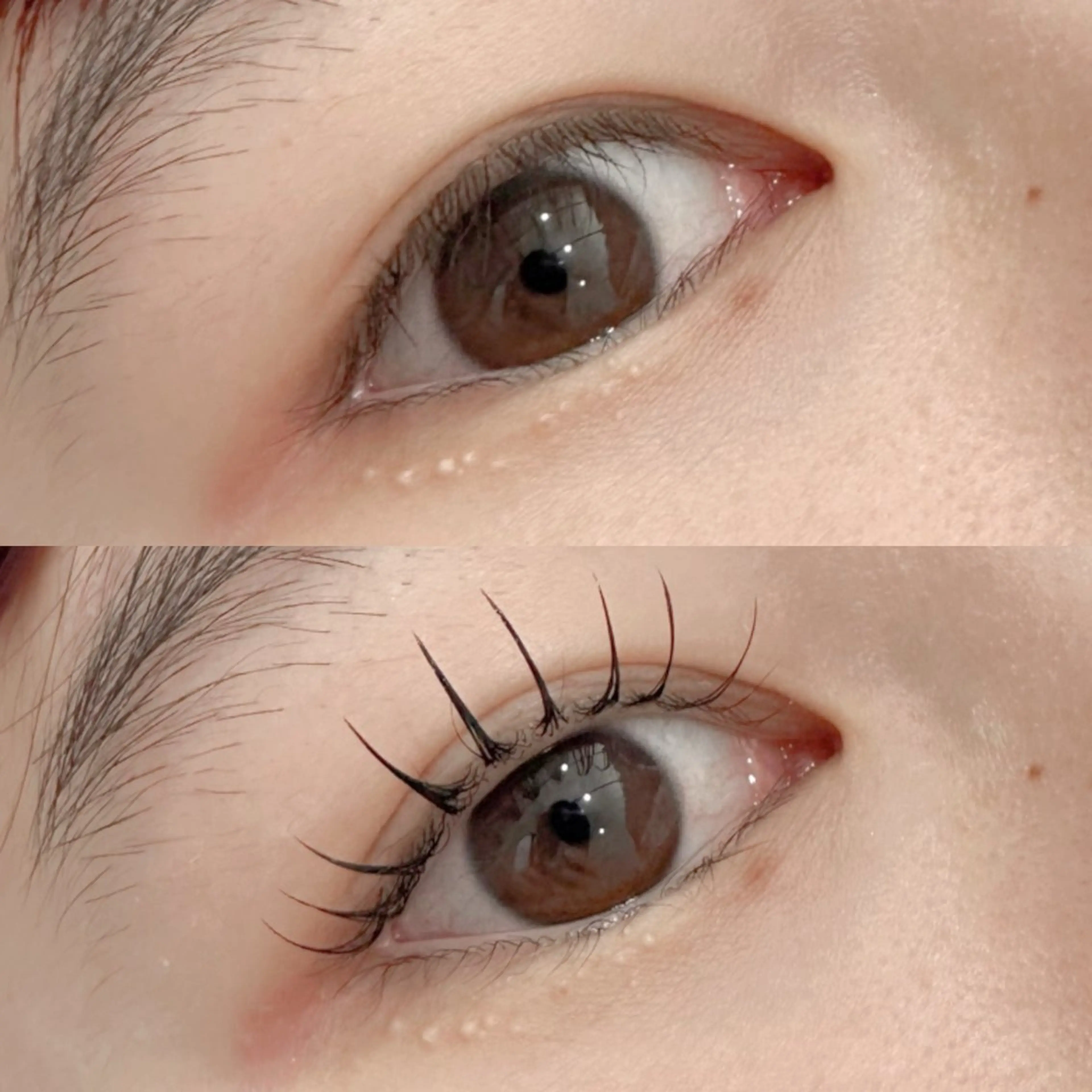 ⸝⸝ ꙳ﾊﾟﾘｴｸ60本🧼アイシャンプー＆束感コーティング仕上げ付きの写真