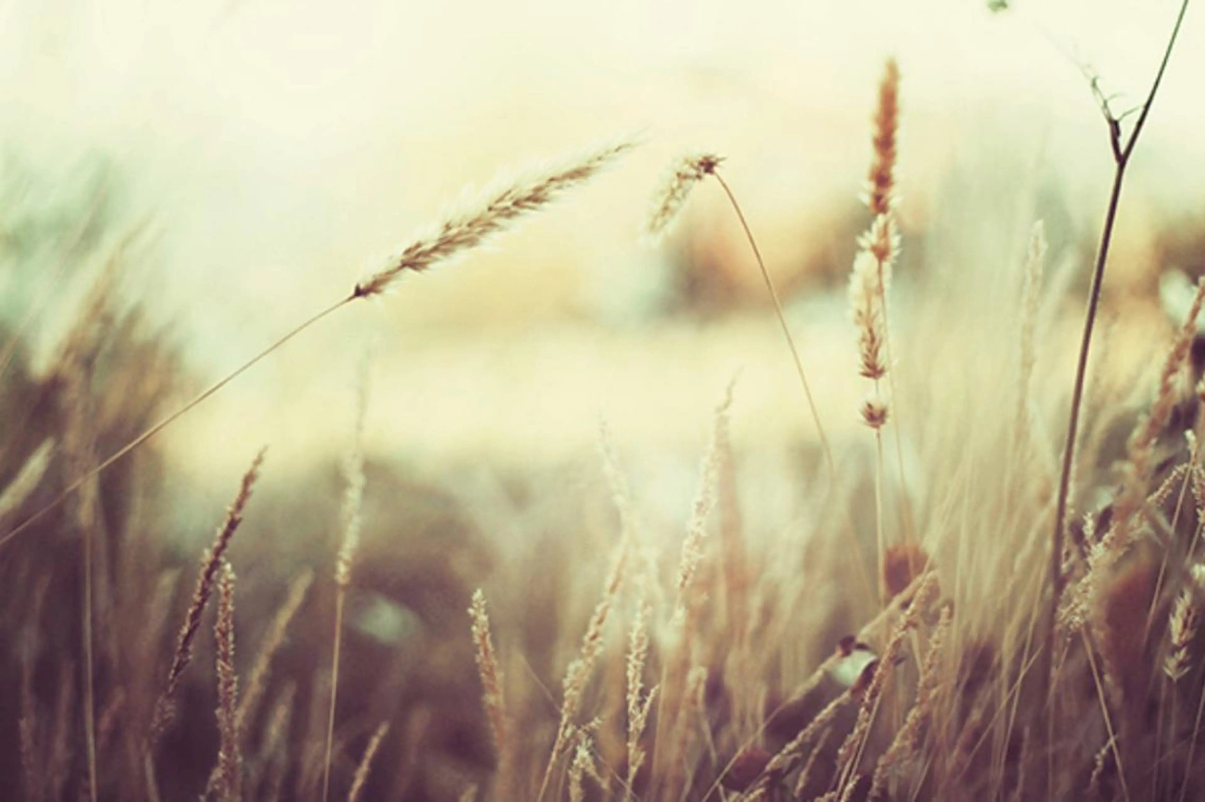 Bianca溝の口 INOMATAのマツエク・マツパデザイン