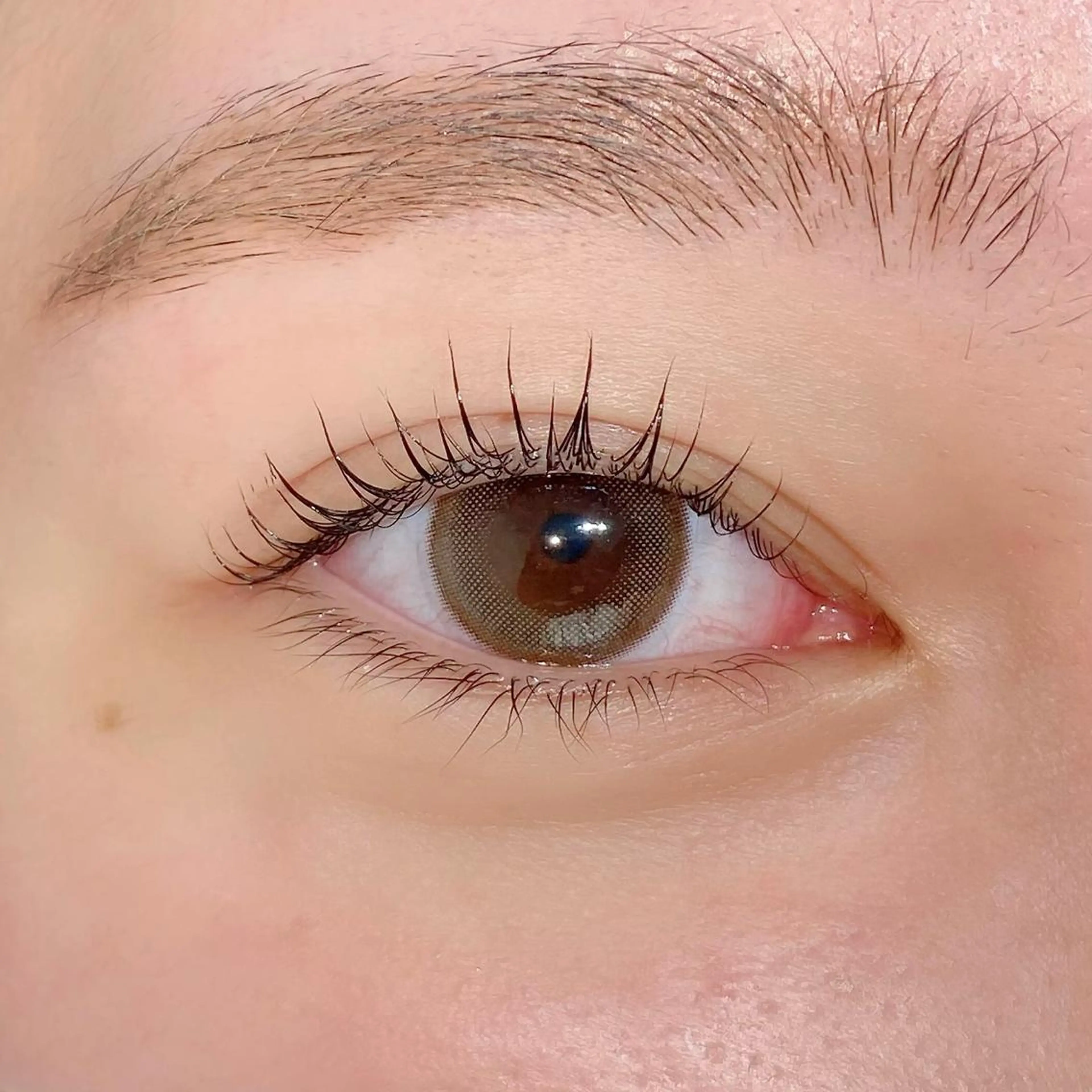 マツエク・マツパ パリジェンヌラッシュリフト まつげパーマ Neo店長🌿 KOTONO🌿のマツエク・マツパデザイン