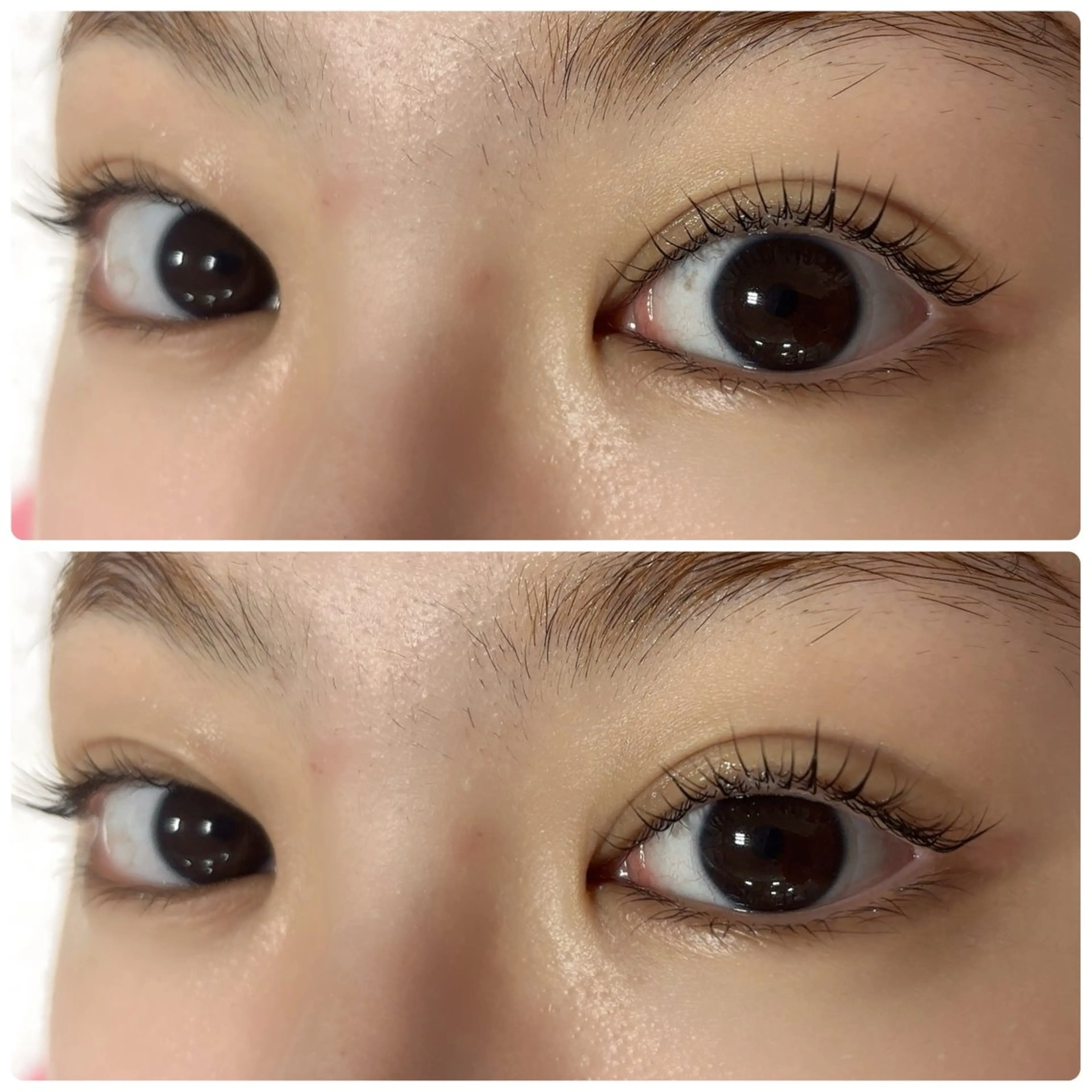 🌕まつ毛パーマ（まつ毛補修トリートメント付き）の写真