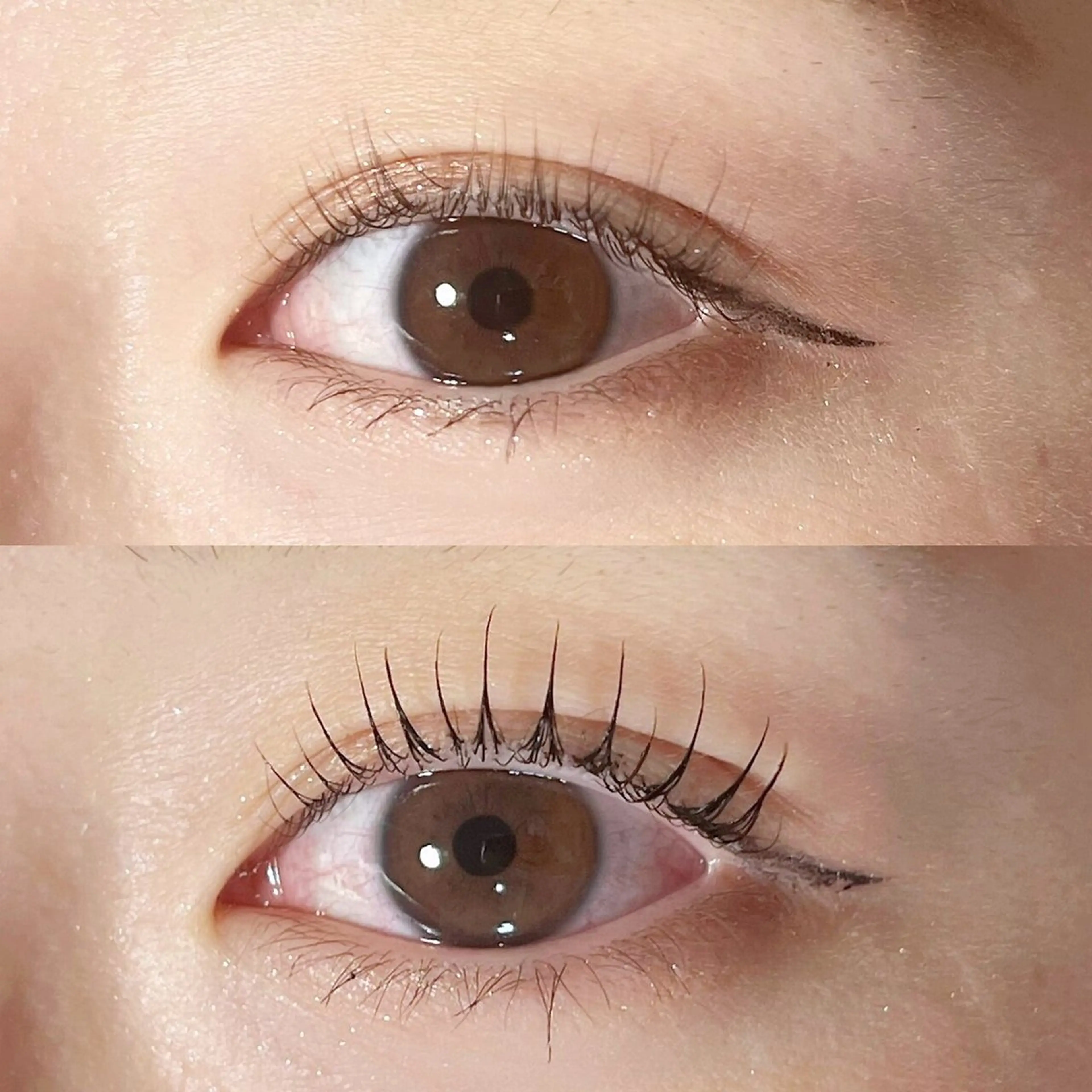 【12月限定】マスカラパーマ💎5,050円の写真