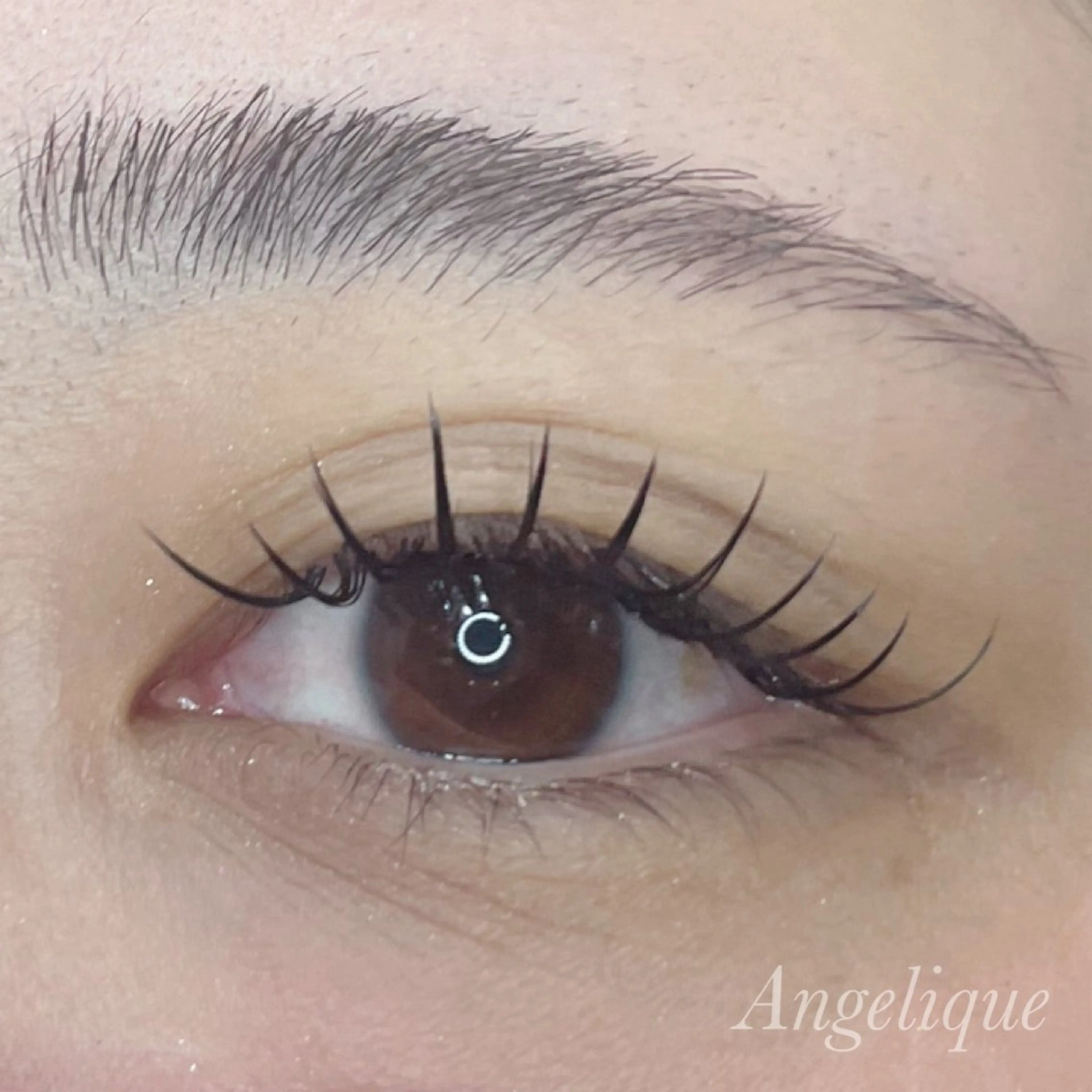 【🎄30日限定🌟】フラットラッシュ120本の写真