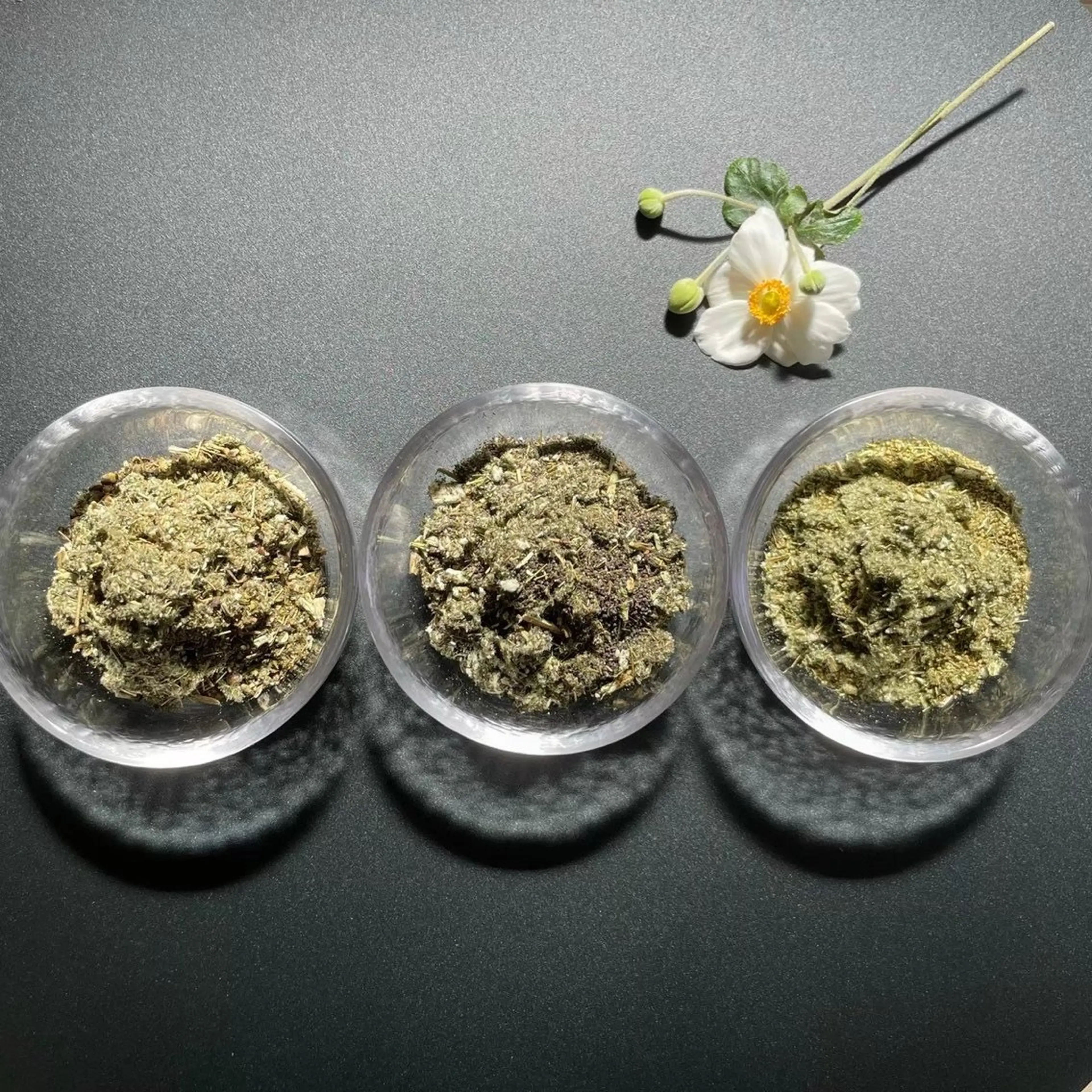 若よもぎ蒸し 改~KAI~アレルギーを整える・自律神経を整え良質な睡眠への写真