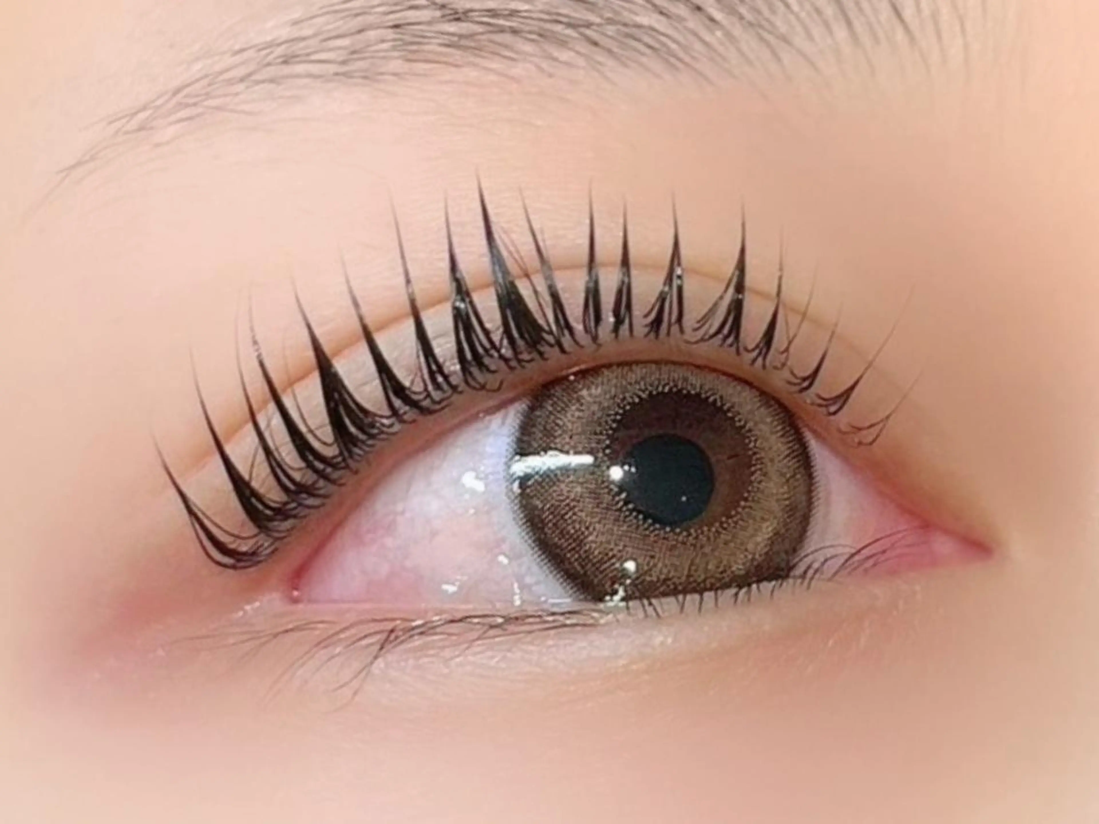 マツエク・マツパ Mian 津田沼のマツエク・マツパデザイン