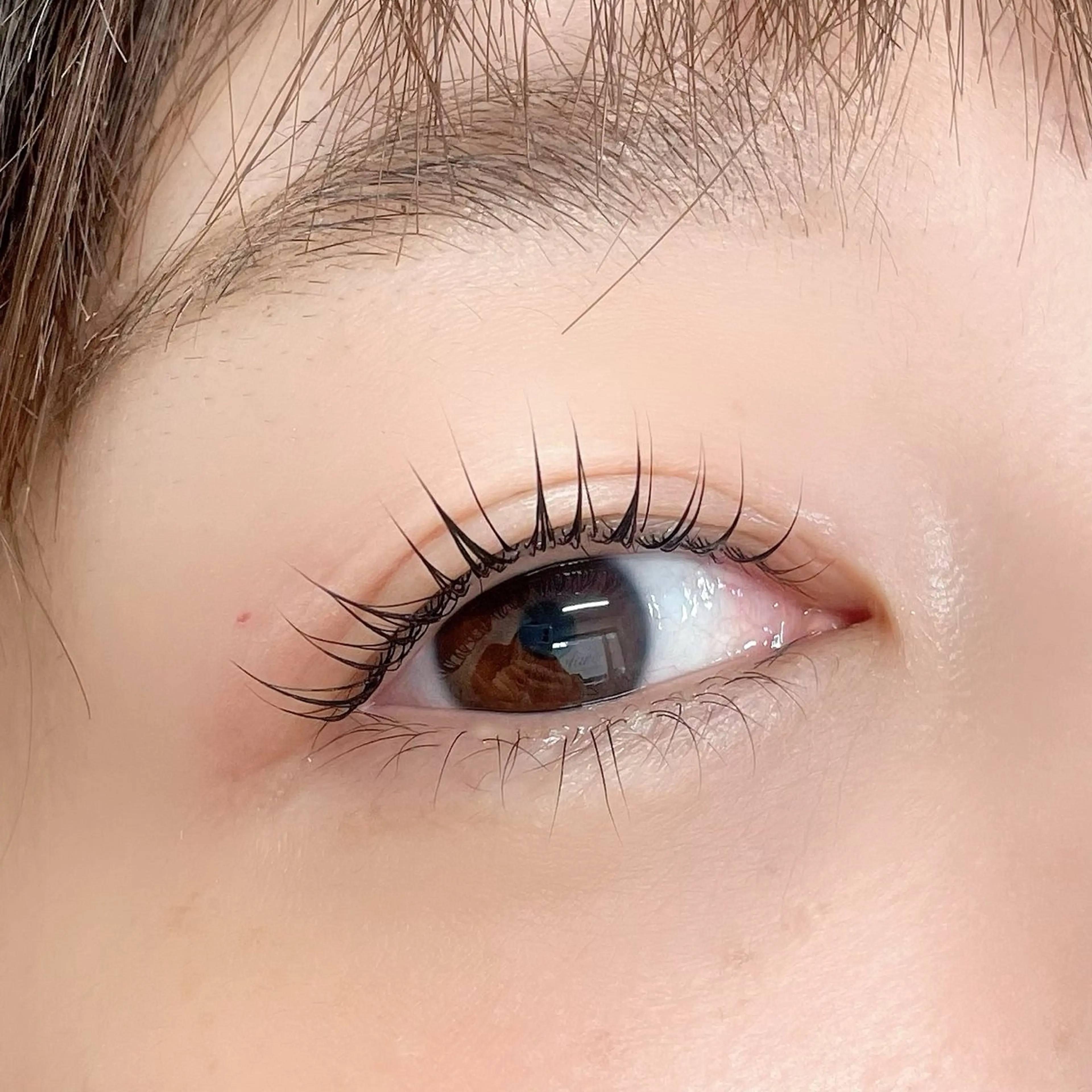 12/25限定当日クーポン🦋まつげパーマ上/美容液仕上げ🫧の写真