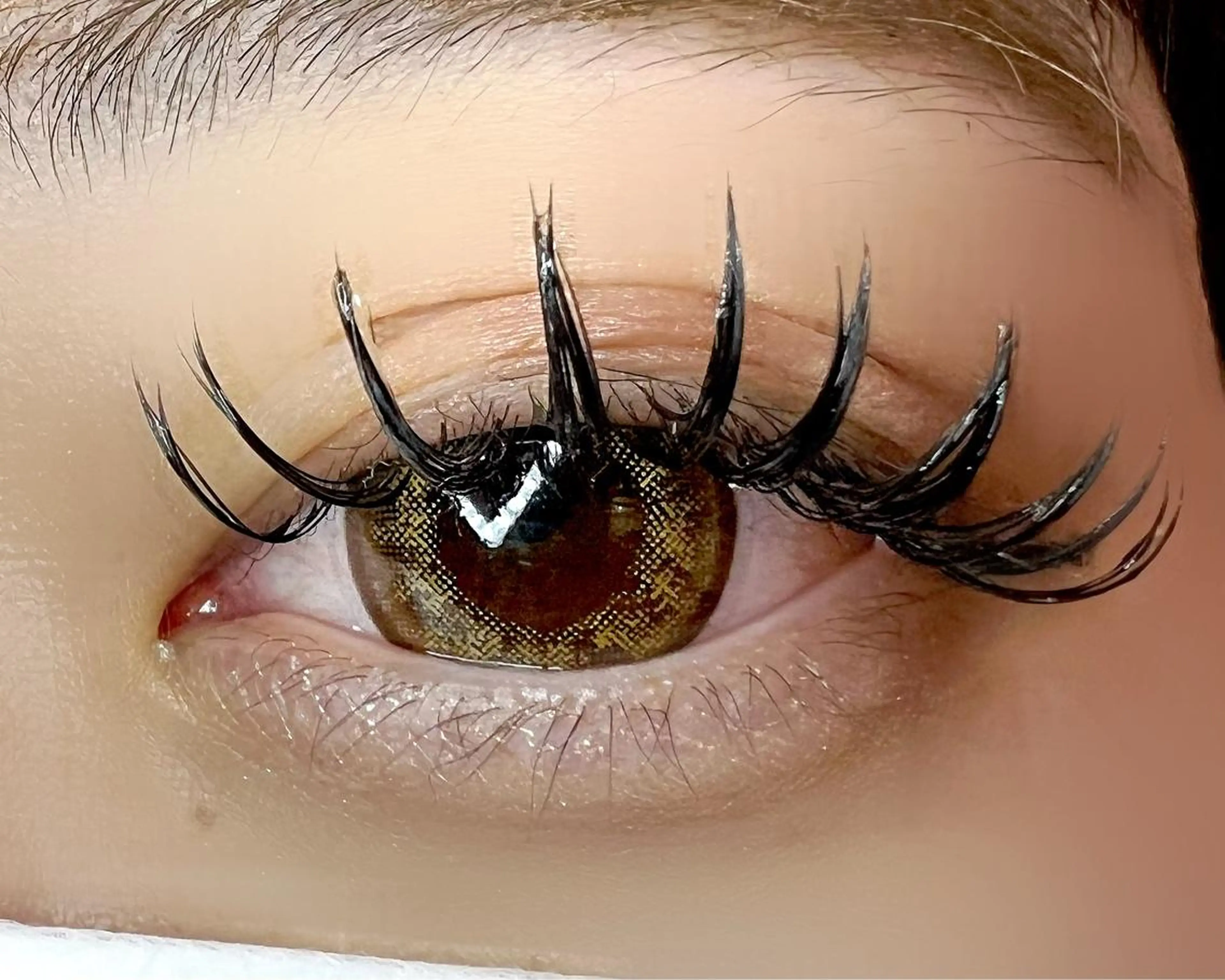 マツエク・マツパ 付け放題 バインドロック Celeste Venus所属・🧸Celeste Venusのマツエク・マツパデザイン