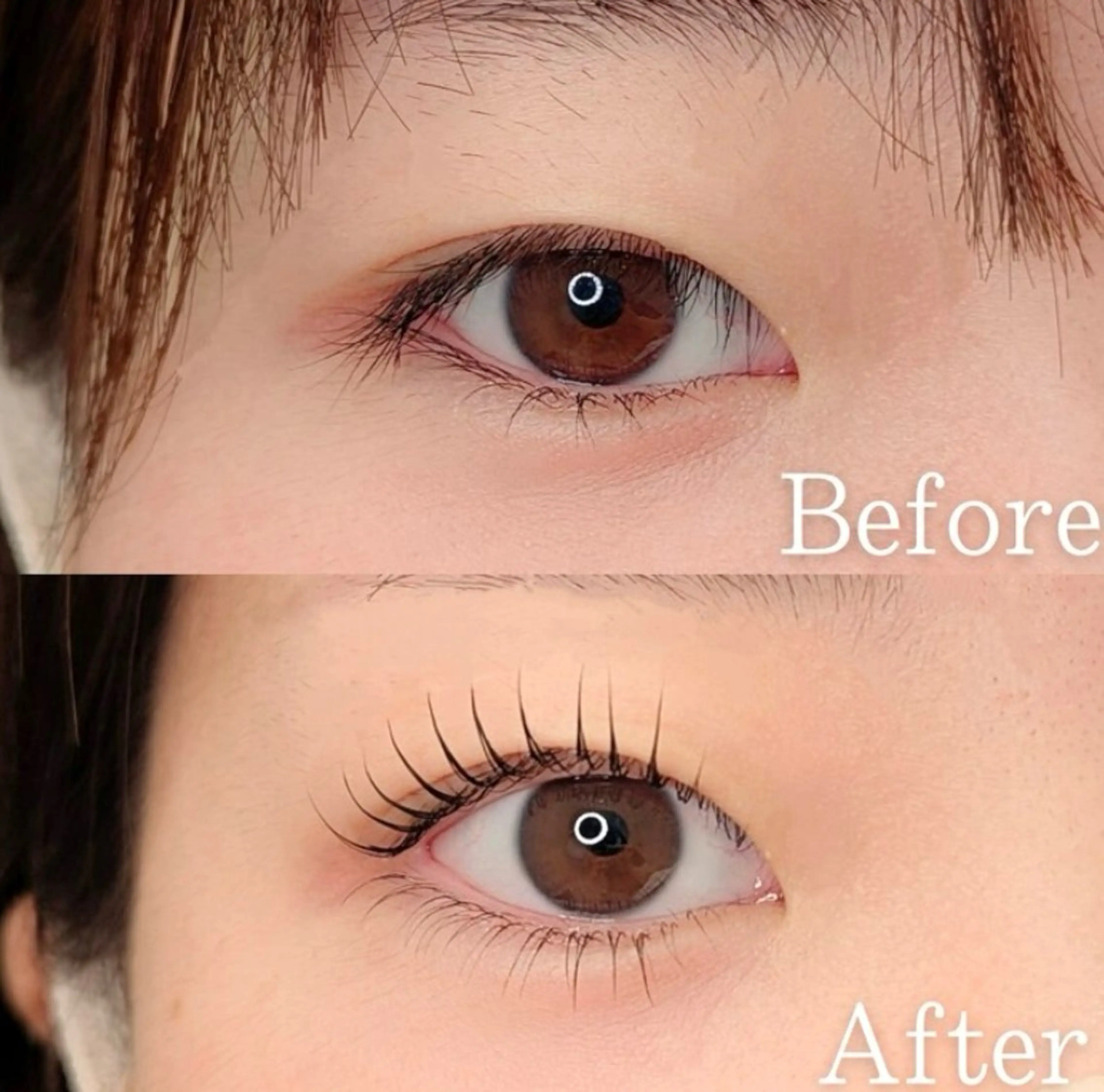 🎀下まつげパーマ 無料練習モデル募集 🎀※18歳未満の方は前回来店済みの方でも予約不可となります。ご了承下さい。の写真