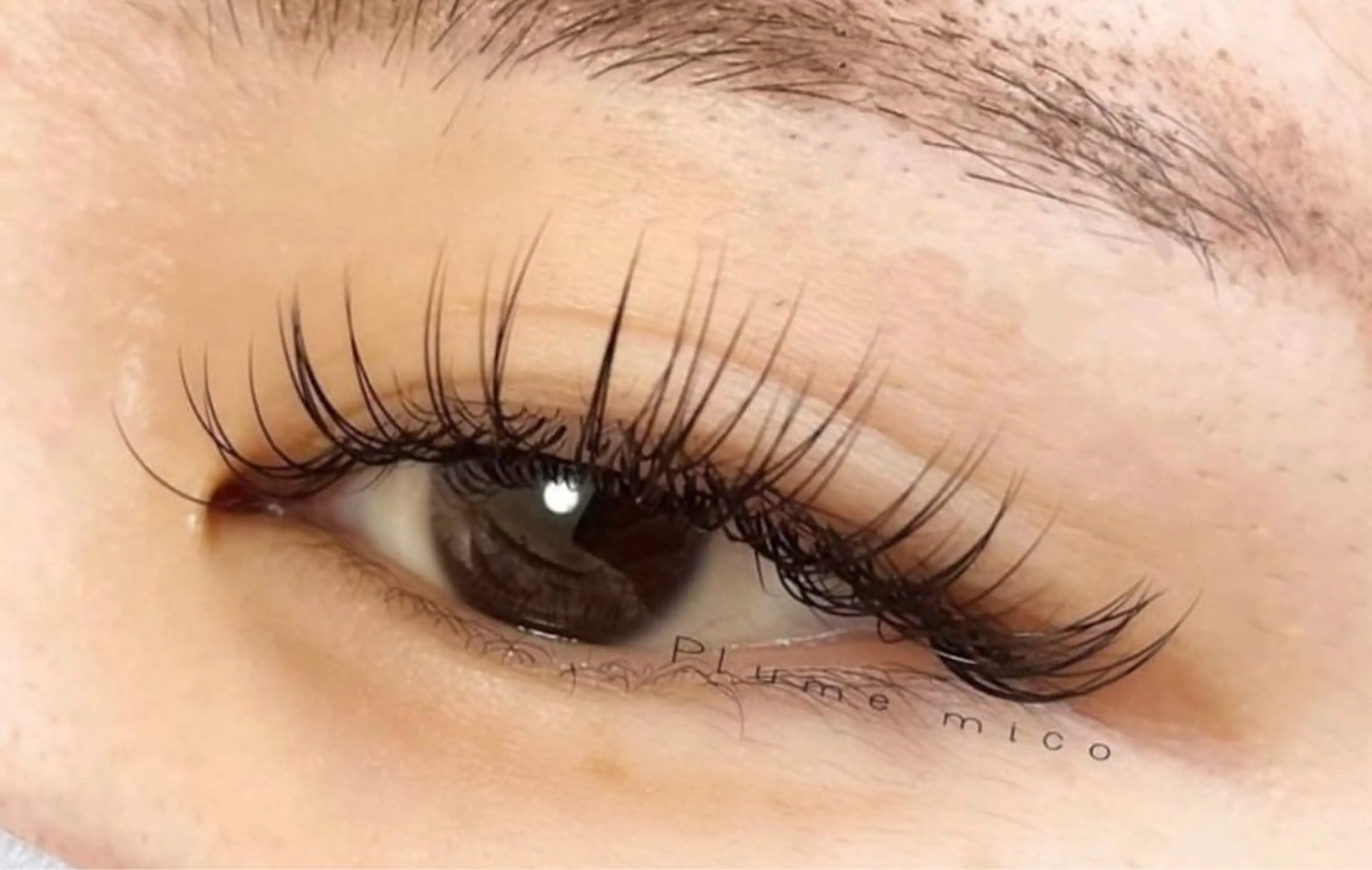 マツエク・マツパ マツエク Plume micoのマツエク・マツパデザイン