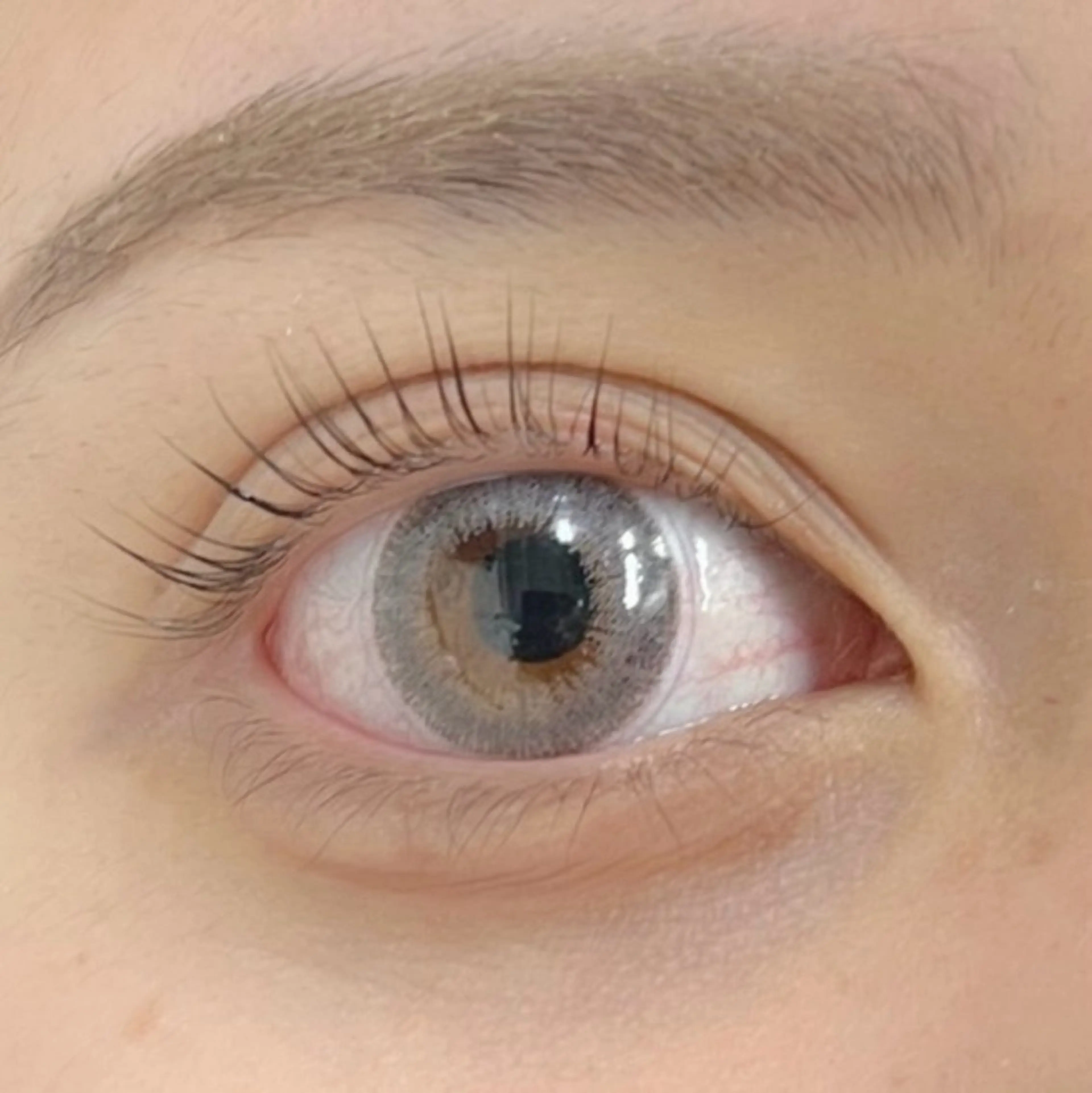 マツエク・マツパ Moe/韓国風/ 束感/キュート❤︎のマツエク・マツパデザイン