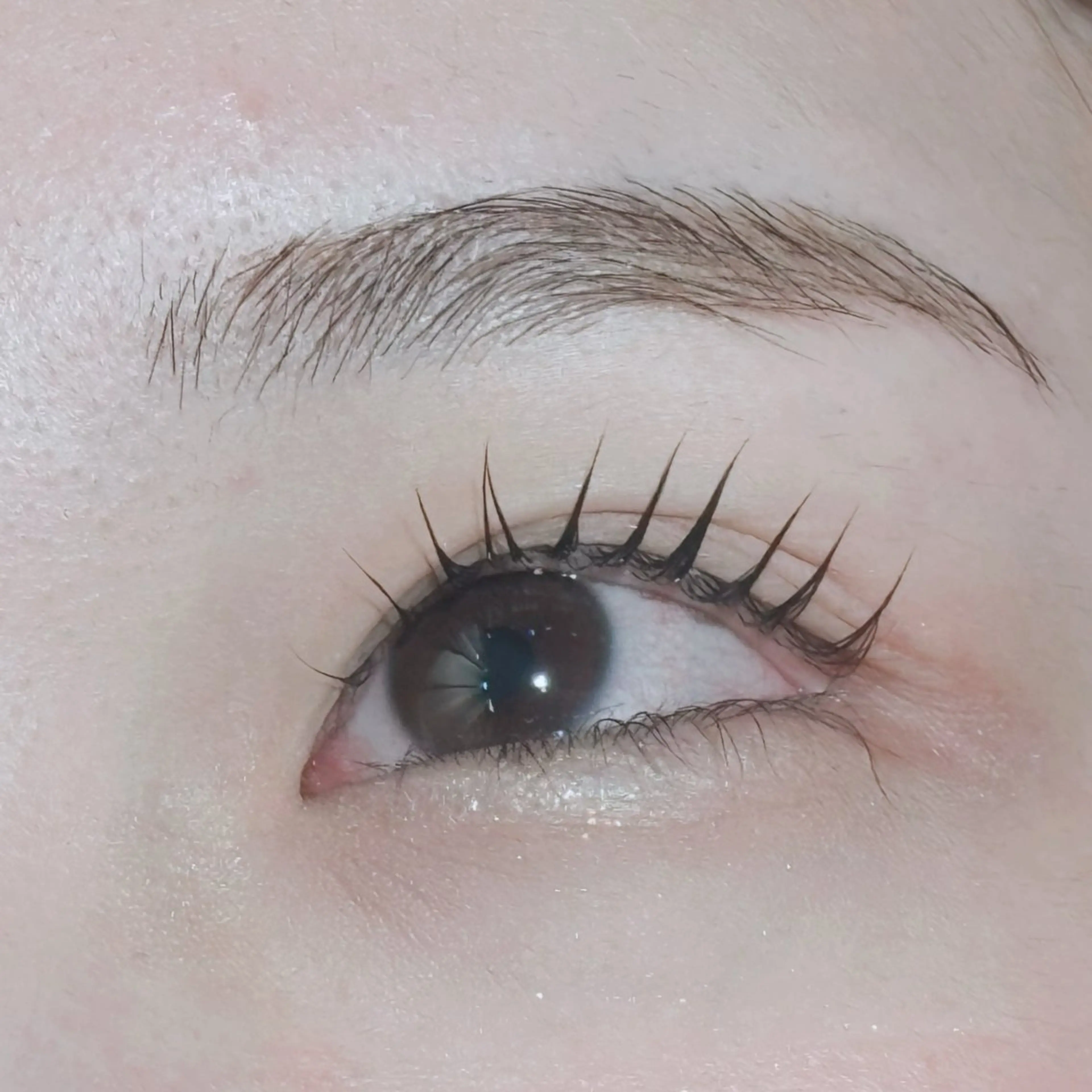 マツエク・マツパ マツパ rad心斎橋 ゆうのマツエク・マツパデザイン