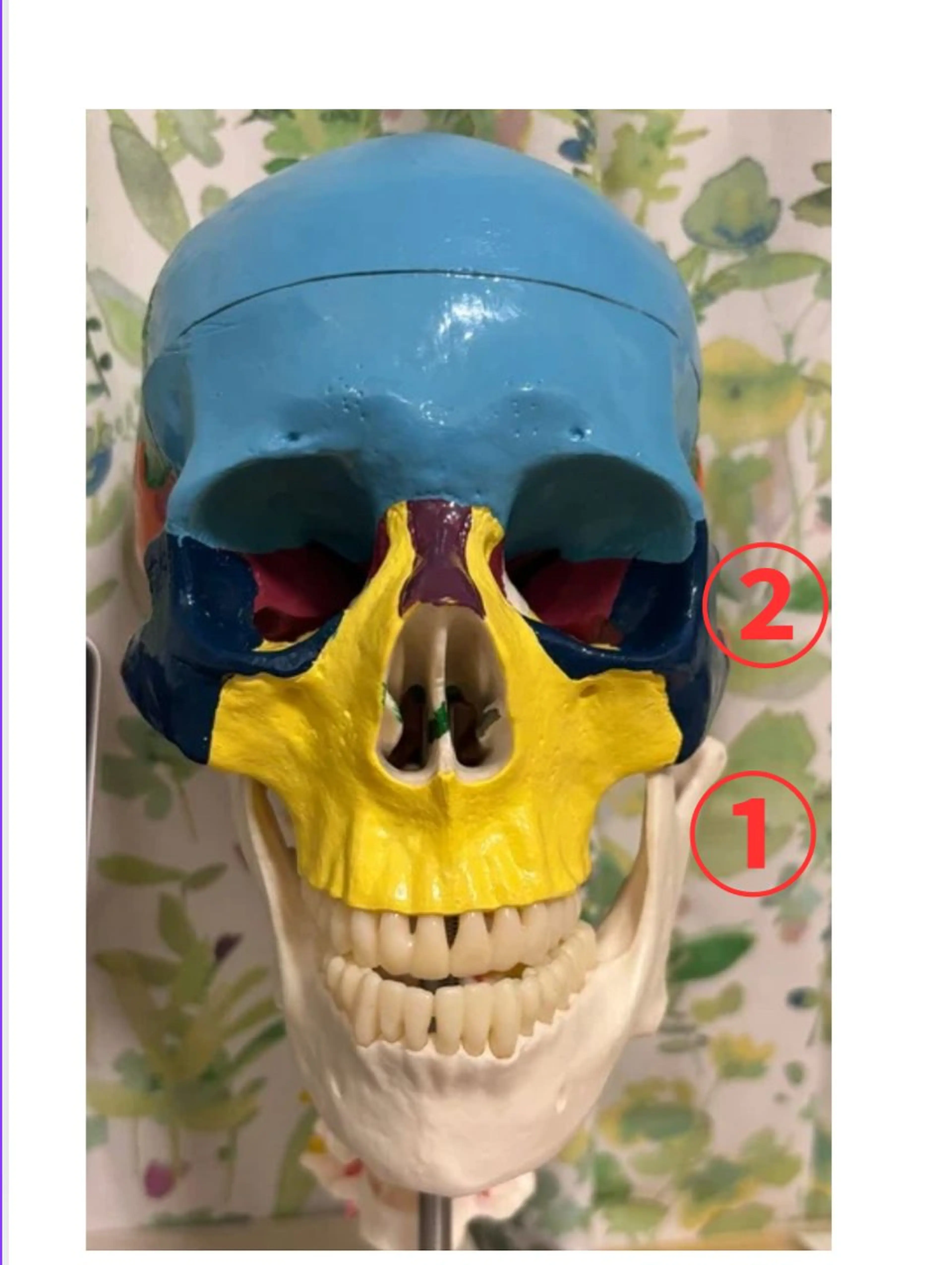 整体院すずまる所属・パーソナルカラー骨格 診断✖️ボディメイクのその他イメージ