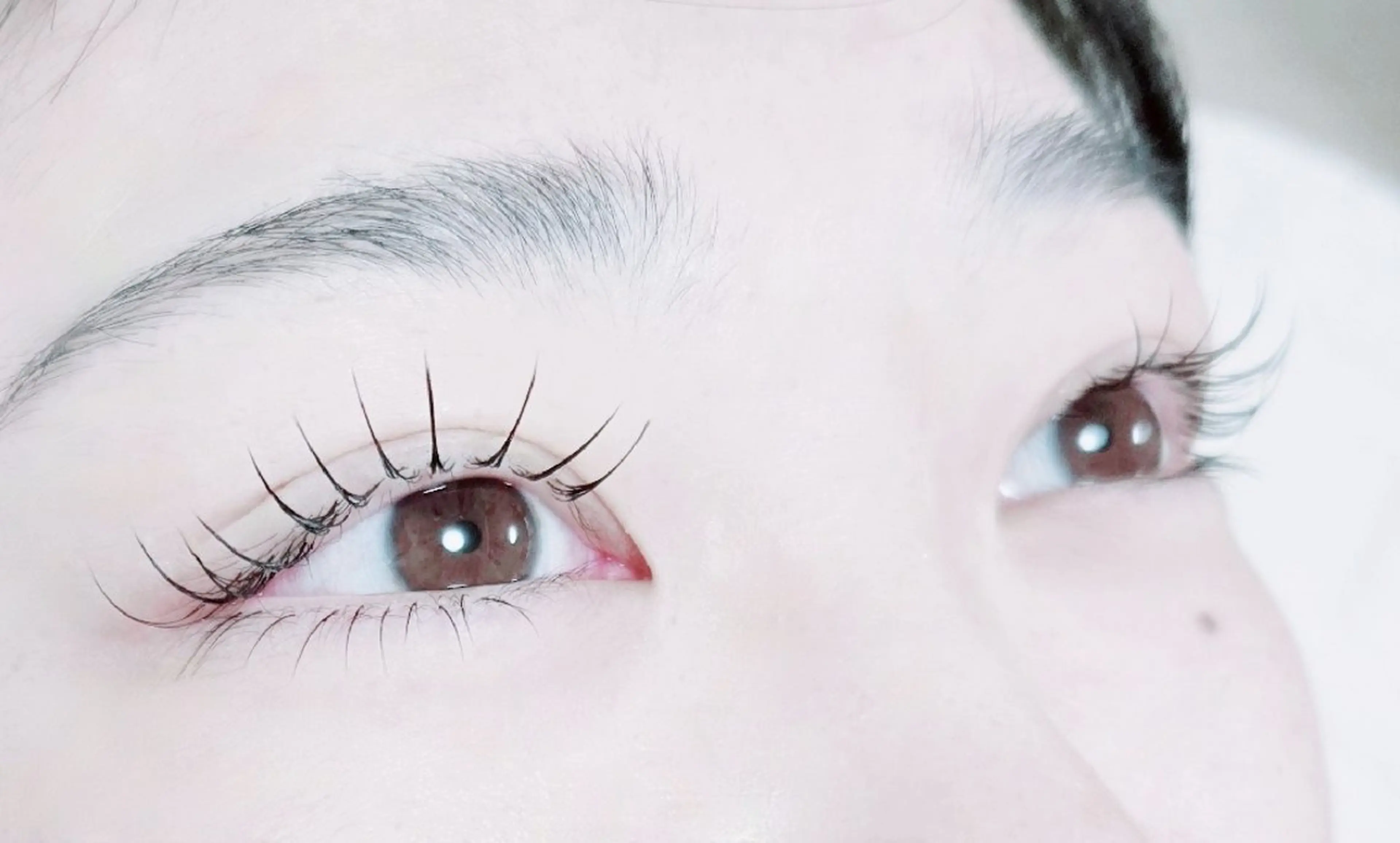 マツエク・マツパ Cカール Jカール マツエク EyelashSalon chel所属・新越谷駅徒歩1分❇️ Salon chelのマツエク・マツパデザイン