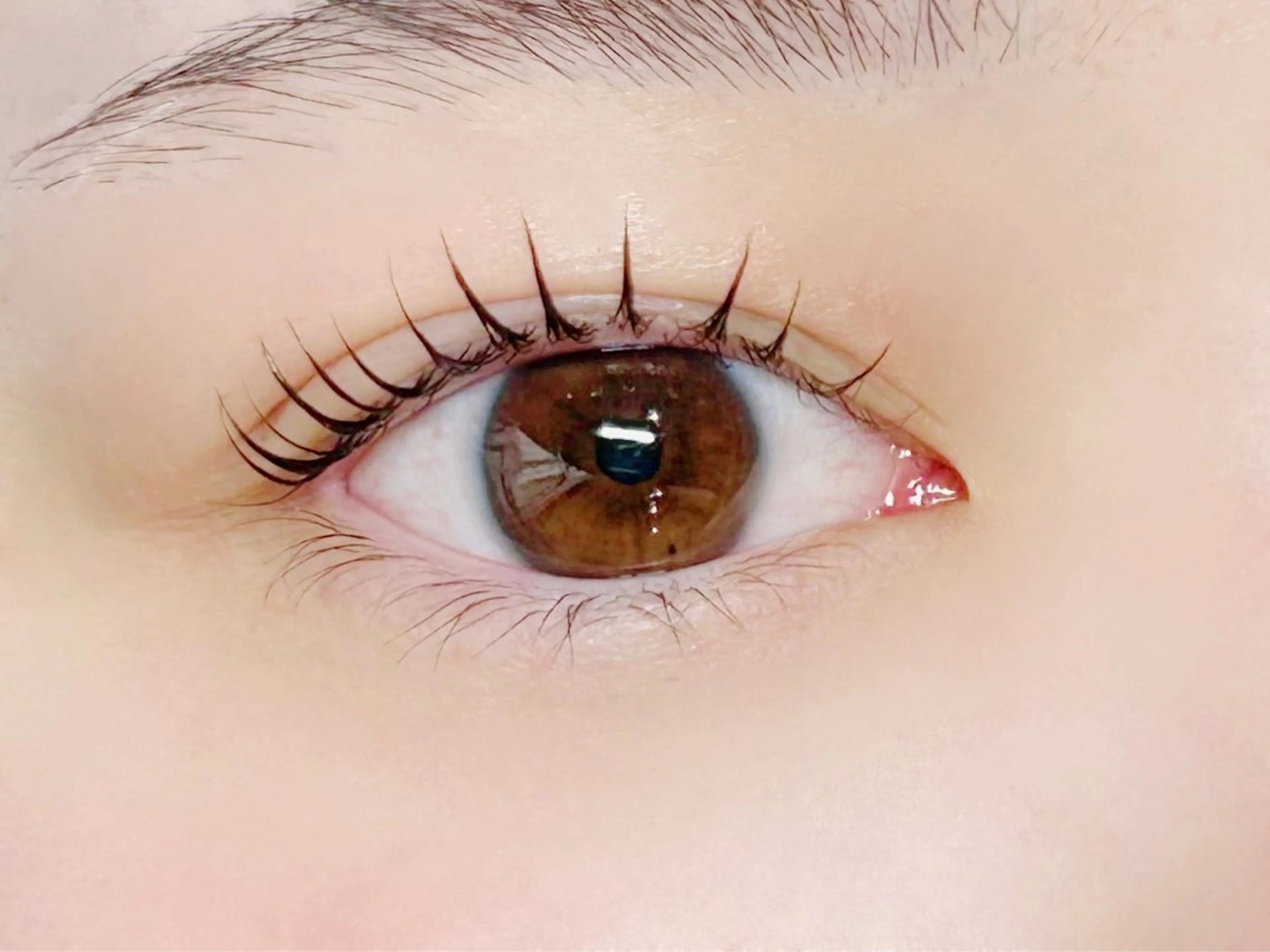 マツエク・マツパ サクラブロウ 天神店の眉毛・アイブロウイメージ