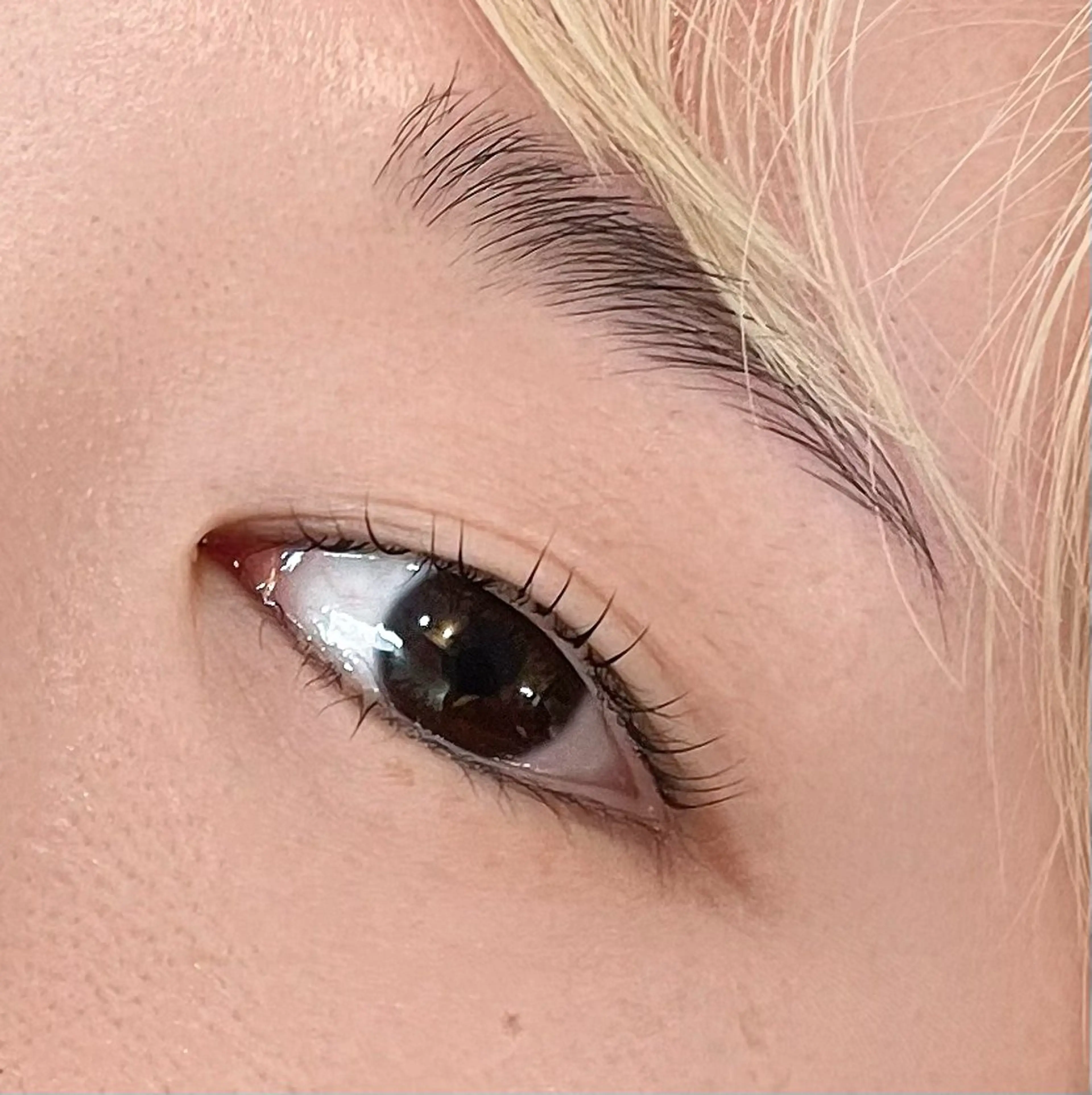 マツエク・マツパ EYELA(アイラ)柏店所属・👑EYELA 柏／ 川村👑のマツエク・マツパデザイン