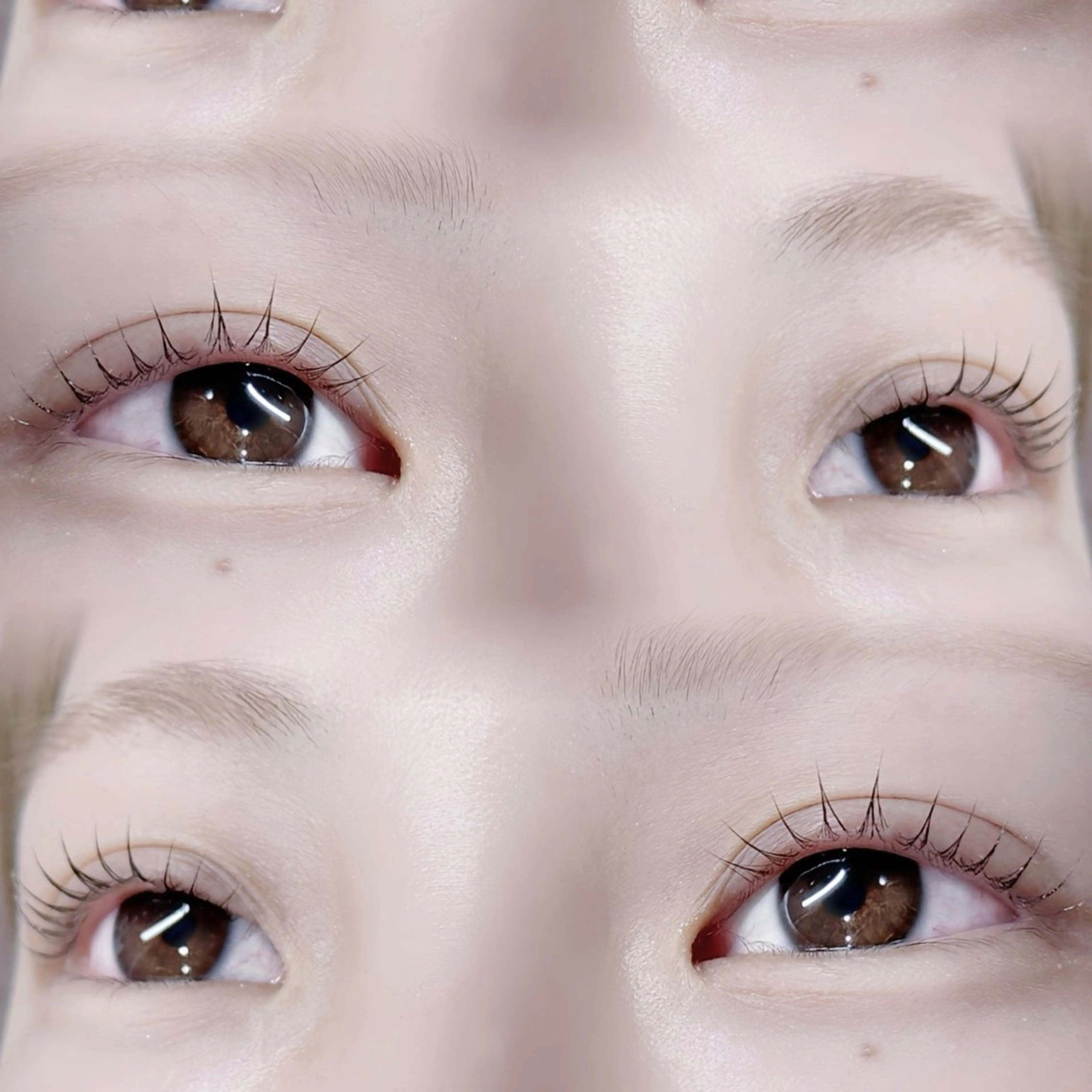 マツエク・マツパ マツパ 🪺fein. chihiro🪹のマツエク・マツパデザイン