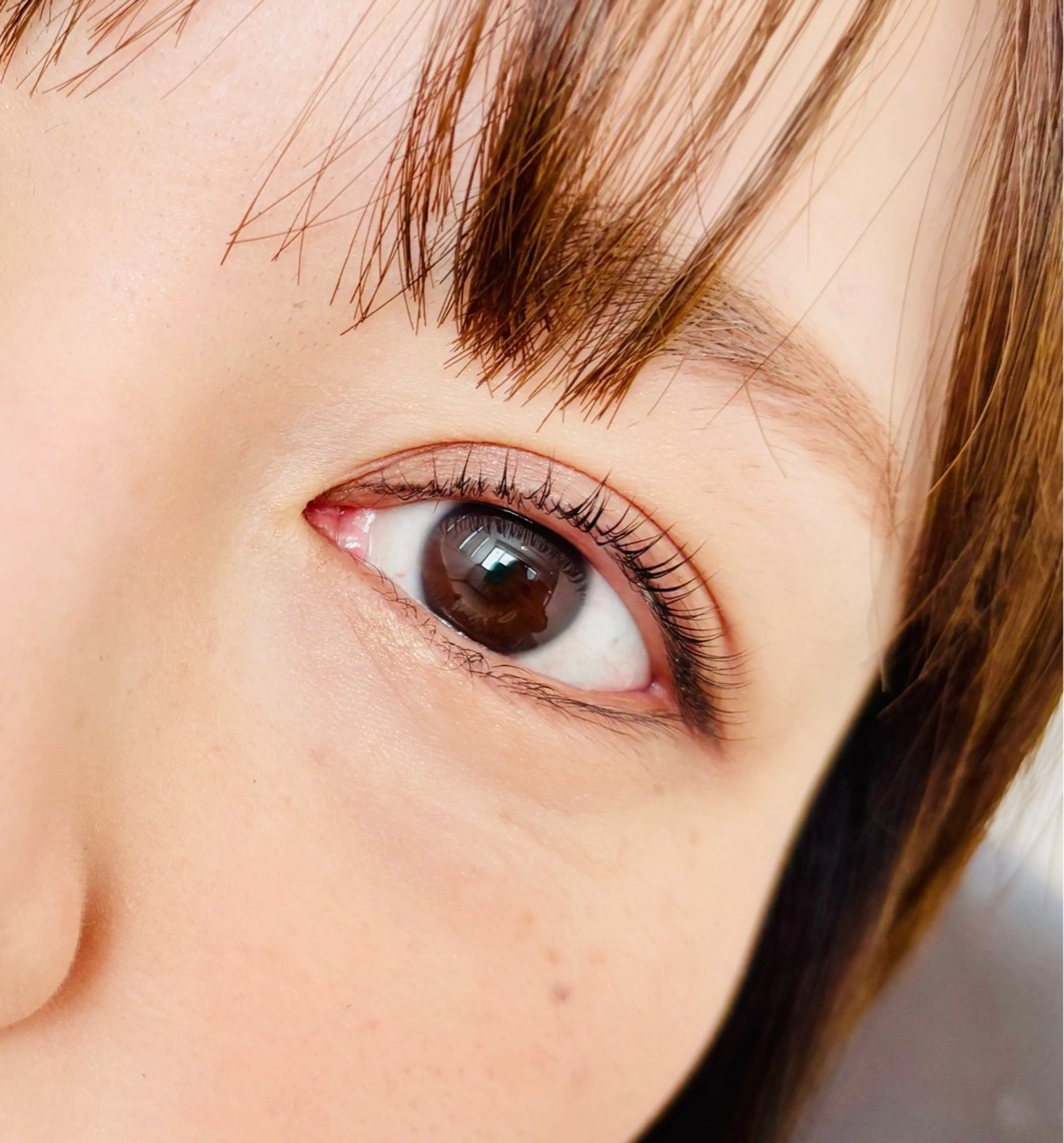 ミニモ限定コーティング付き🌟まつげパーマ💫(上まつげ)の写真