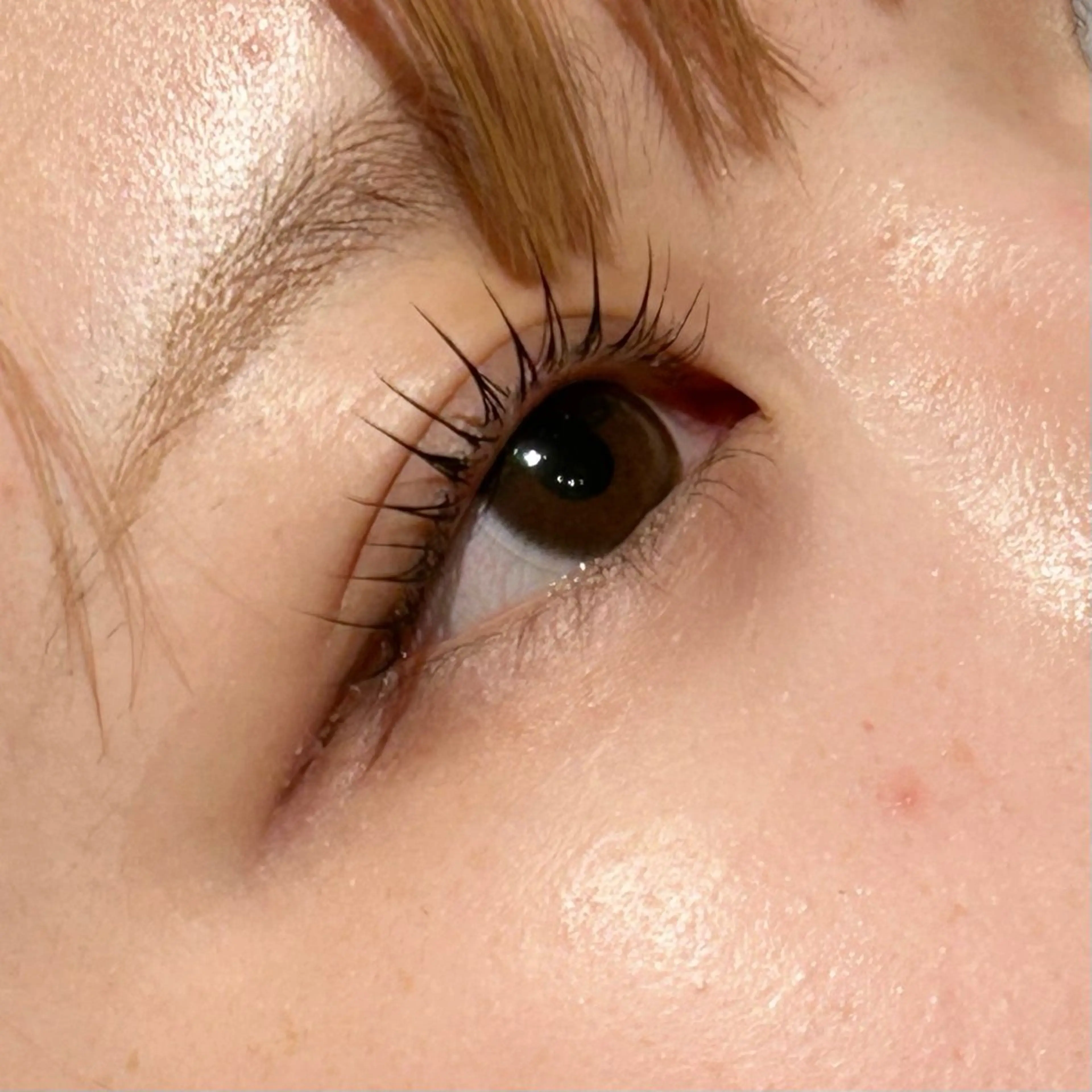 【🤍韓国風束感🤍】まつ毛パーマの写真