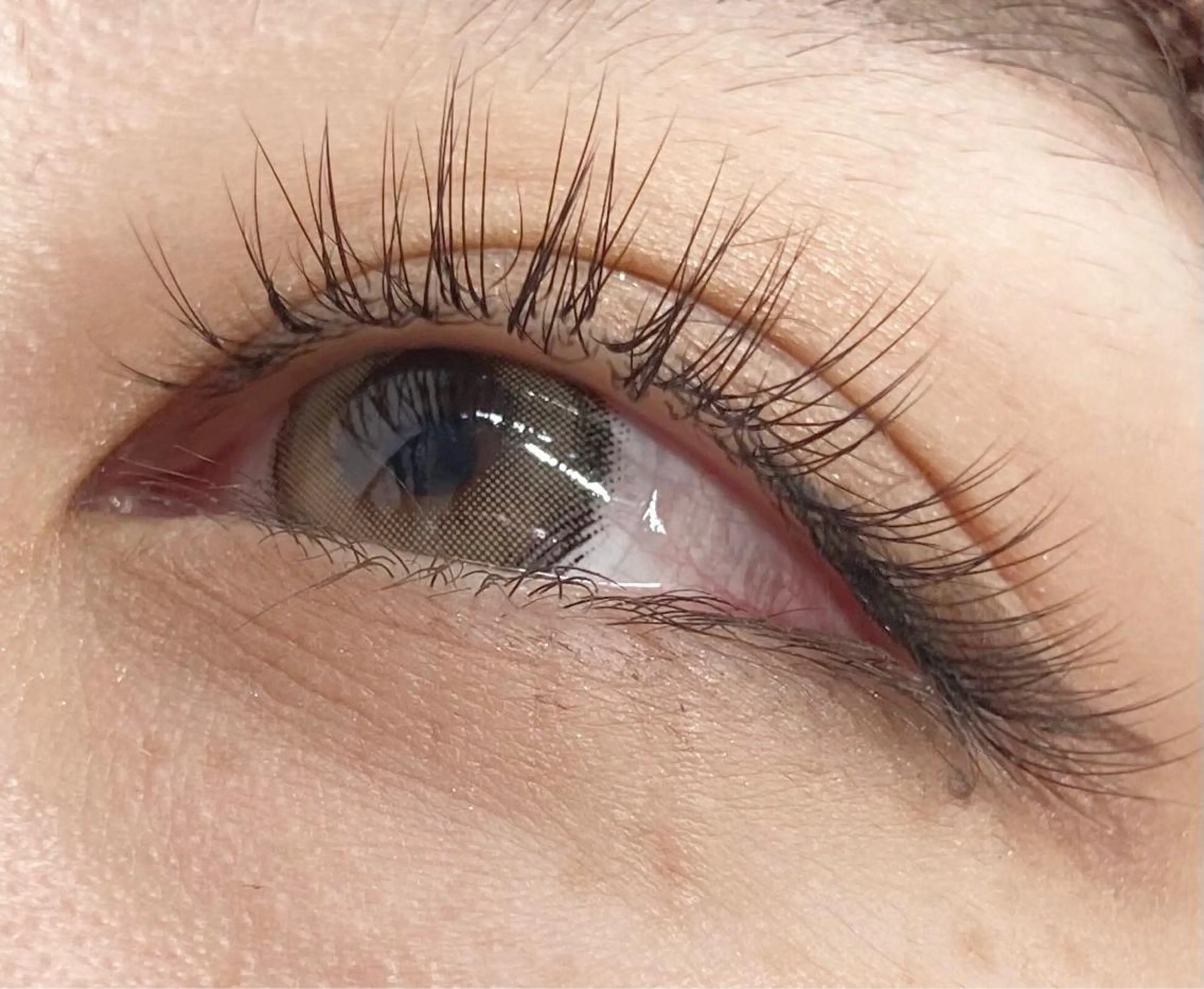 🥀ご新規様限定！フラットマットラッシュ🎀(120本まで付け放題🌟)の写真