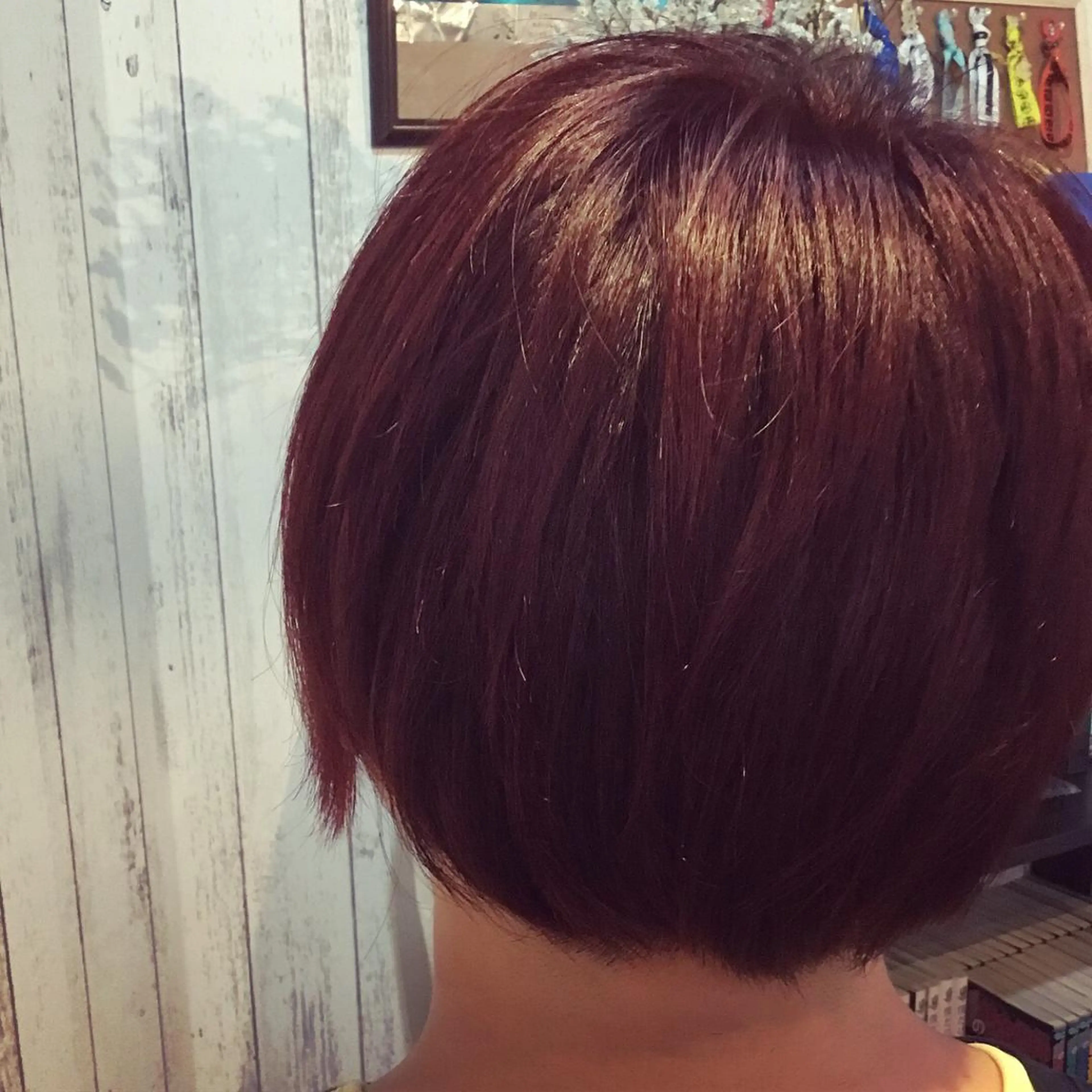 ショート カラー 金崎 新吾のヘアスタイル