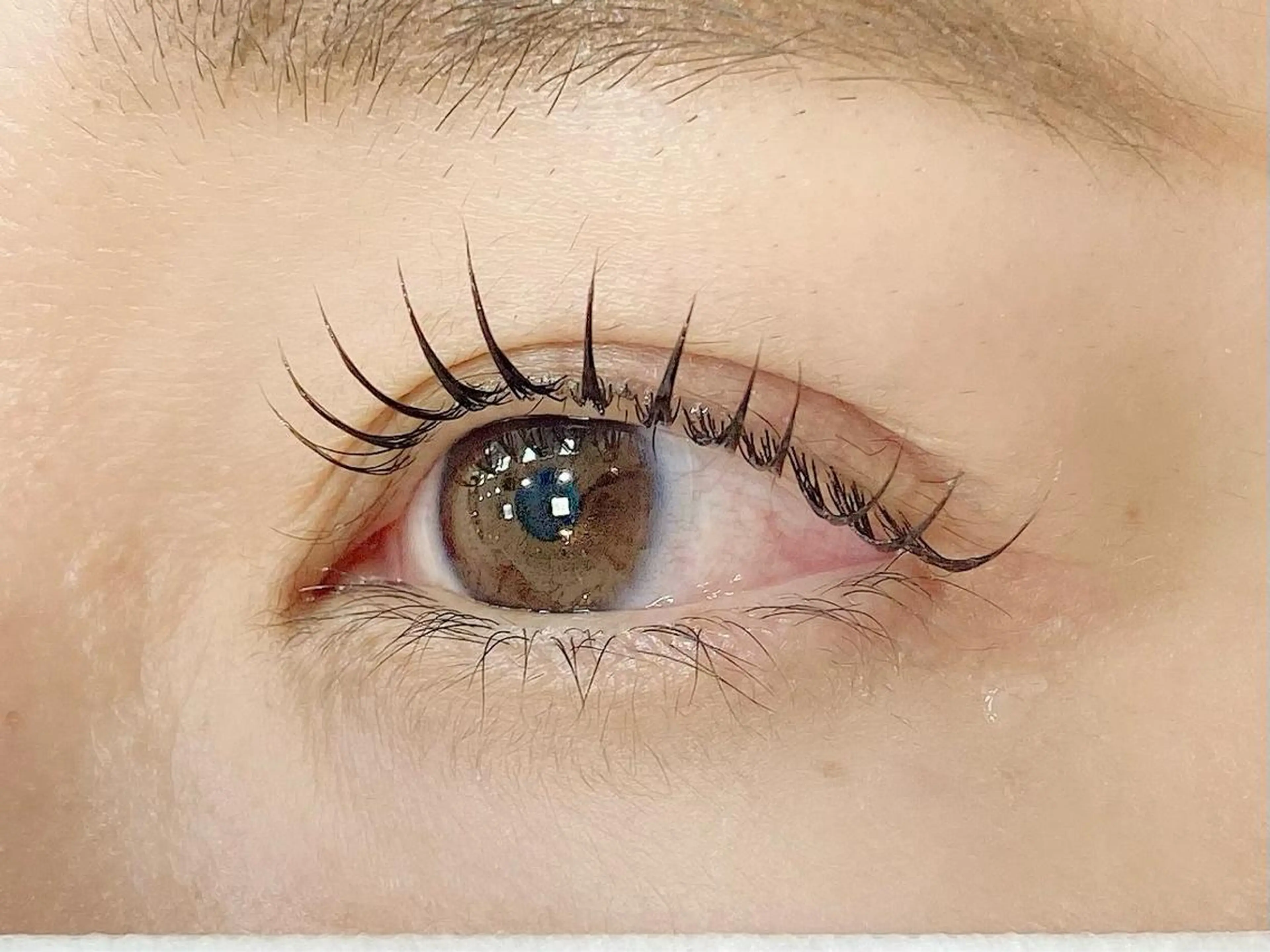 マツエク・マツパ マツパ アルターエクラ 飯島のマツエク・マツパデザイン