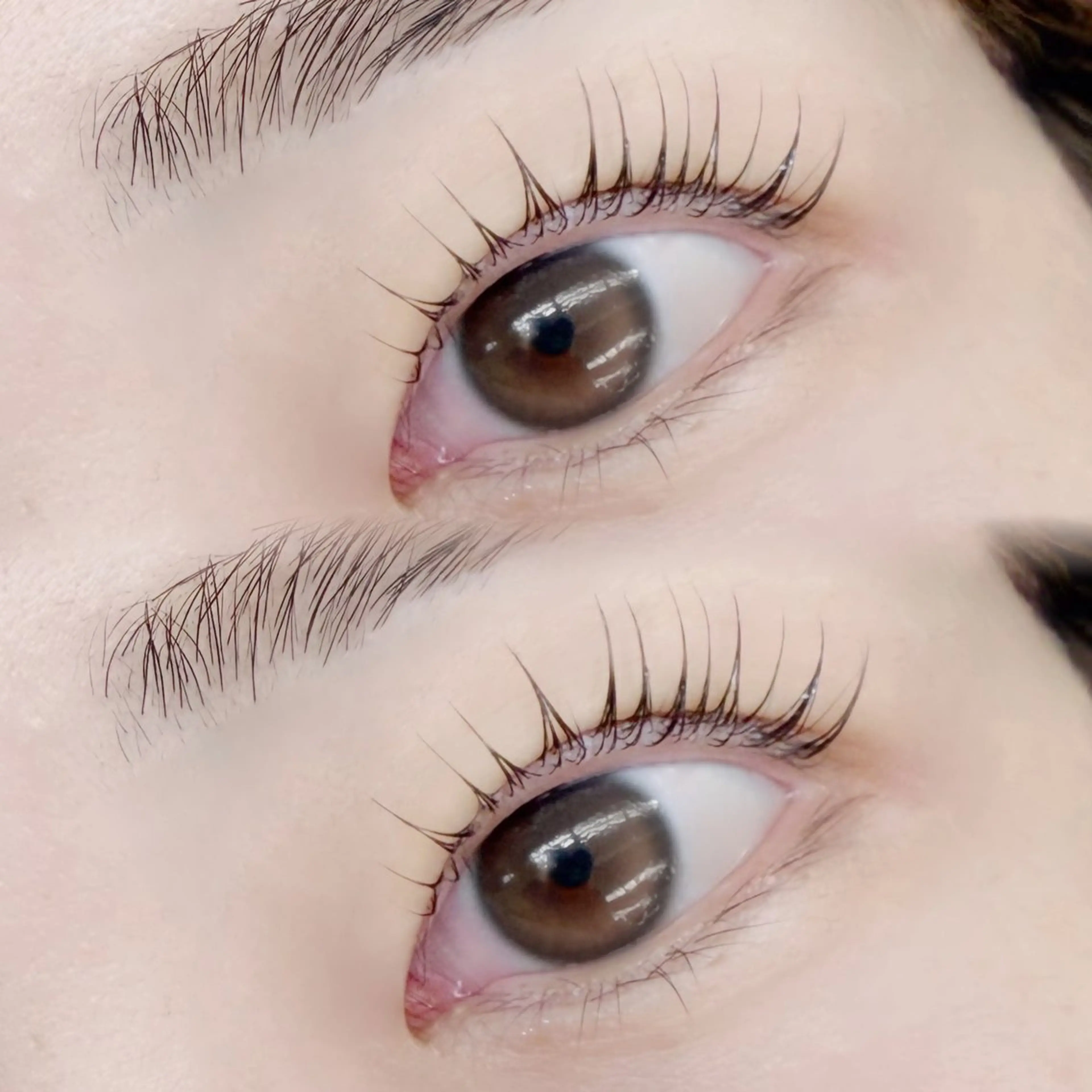 🦢パリジェンヌorまつ毛パーマ🦢の写真