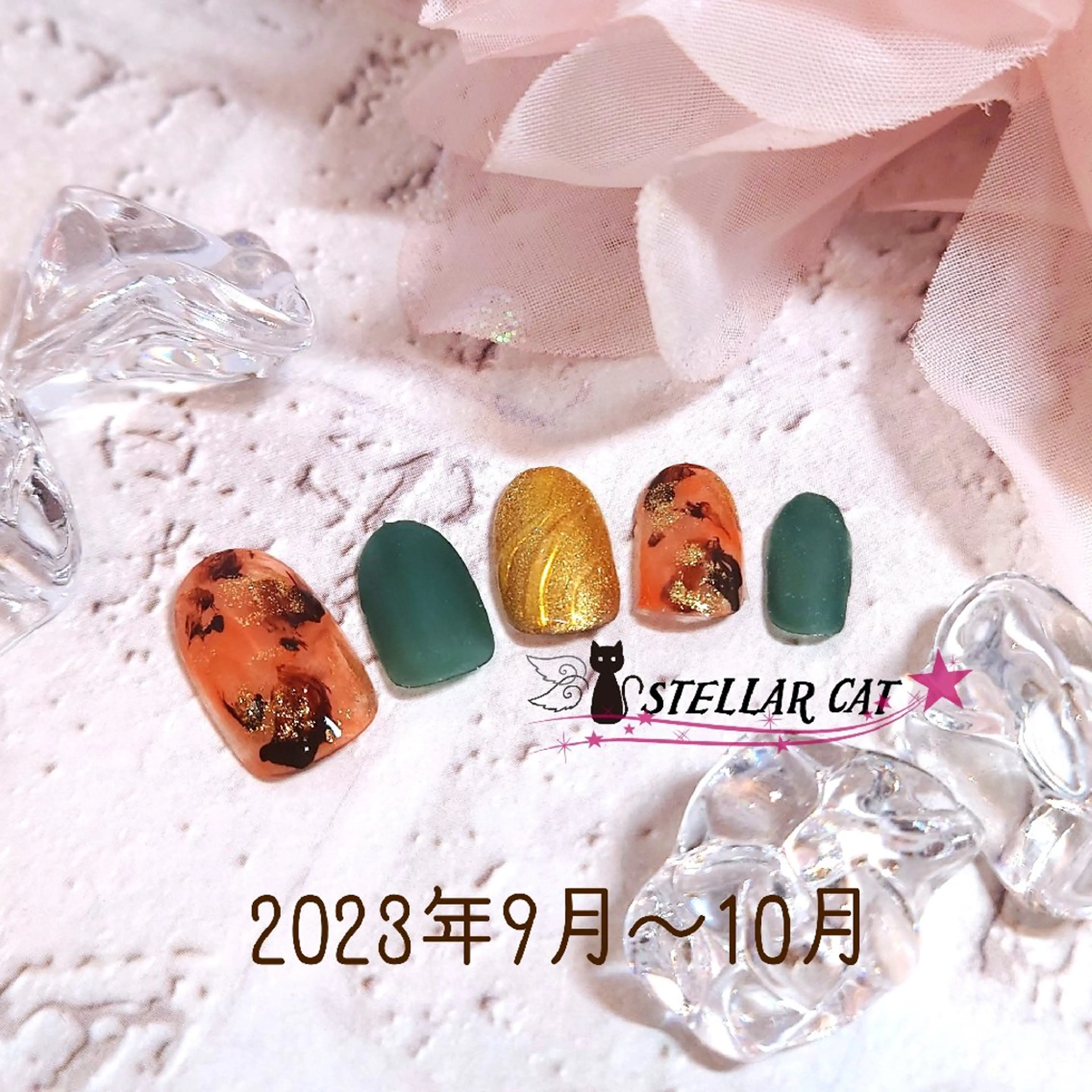 ネイル べっ甲ネイル マットネイル ハンドネイル ショートネイル専門 StellarCatのネイルデザイン