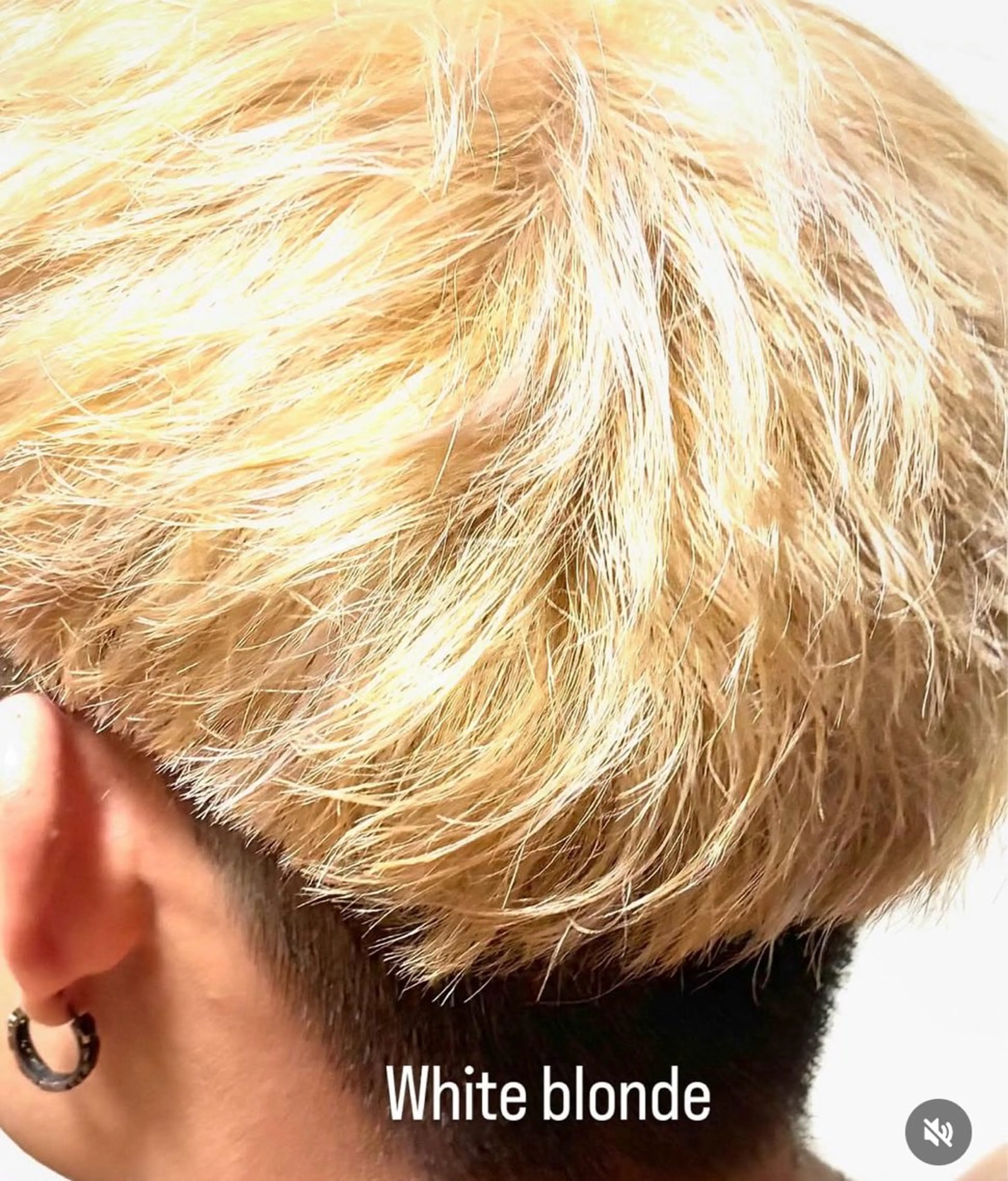 カラー メンズ メンズブリーチ メンズハイライト メンズハイトーン モヒカン ブリーチ ヘアカラー RYU/メンズ /センターパートのヘアスタイル