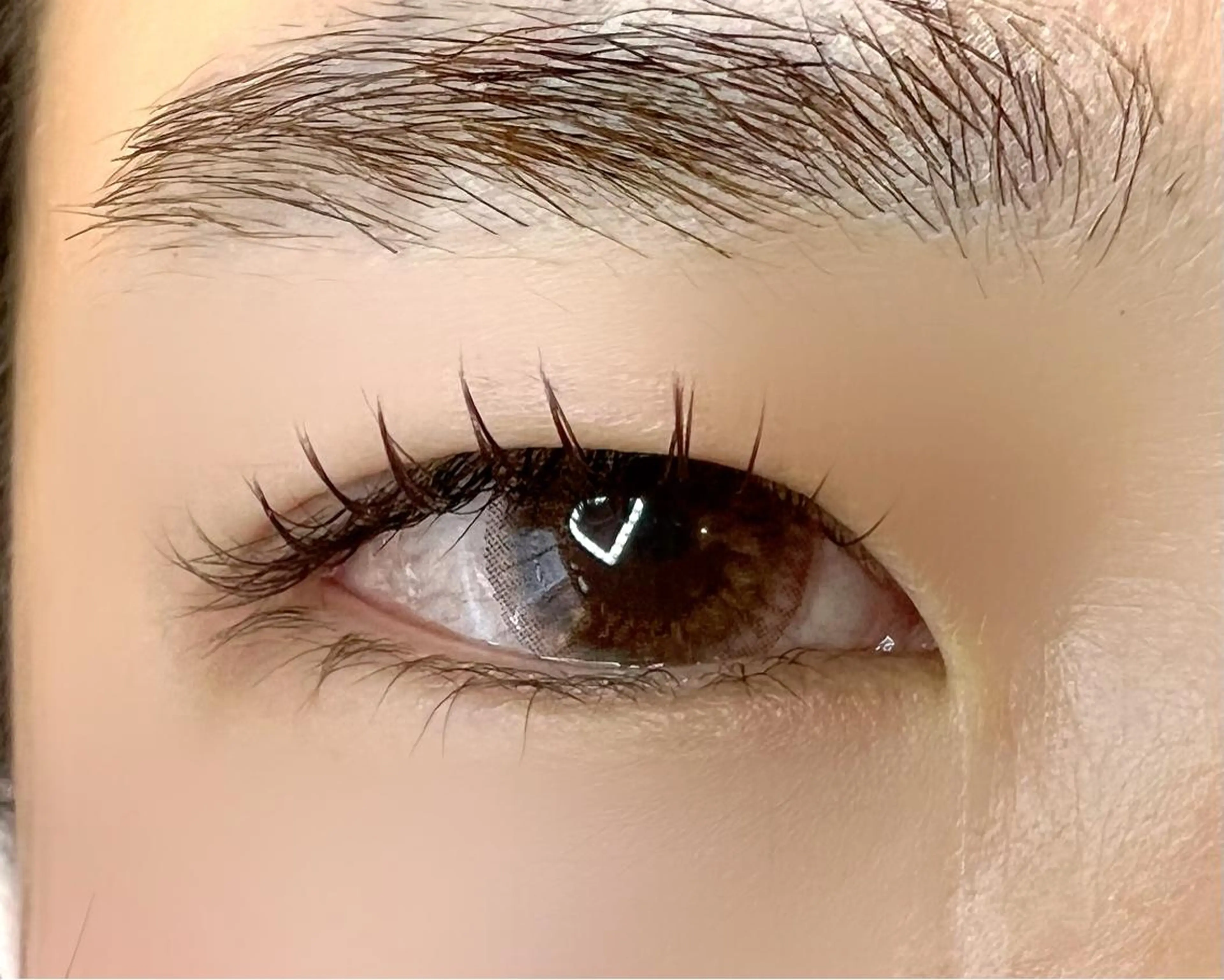 マツエク・マツパ カラーマツエク マツエク Celeste Venus所属・🧸Celeste Venusのマツエク・マツパデザイン