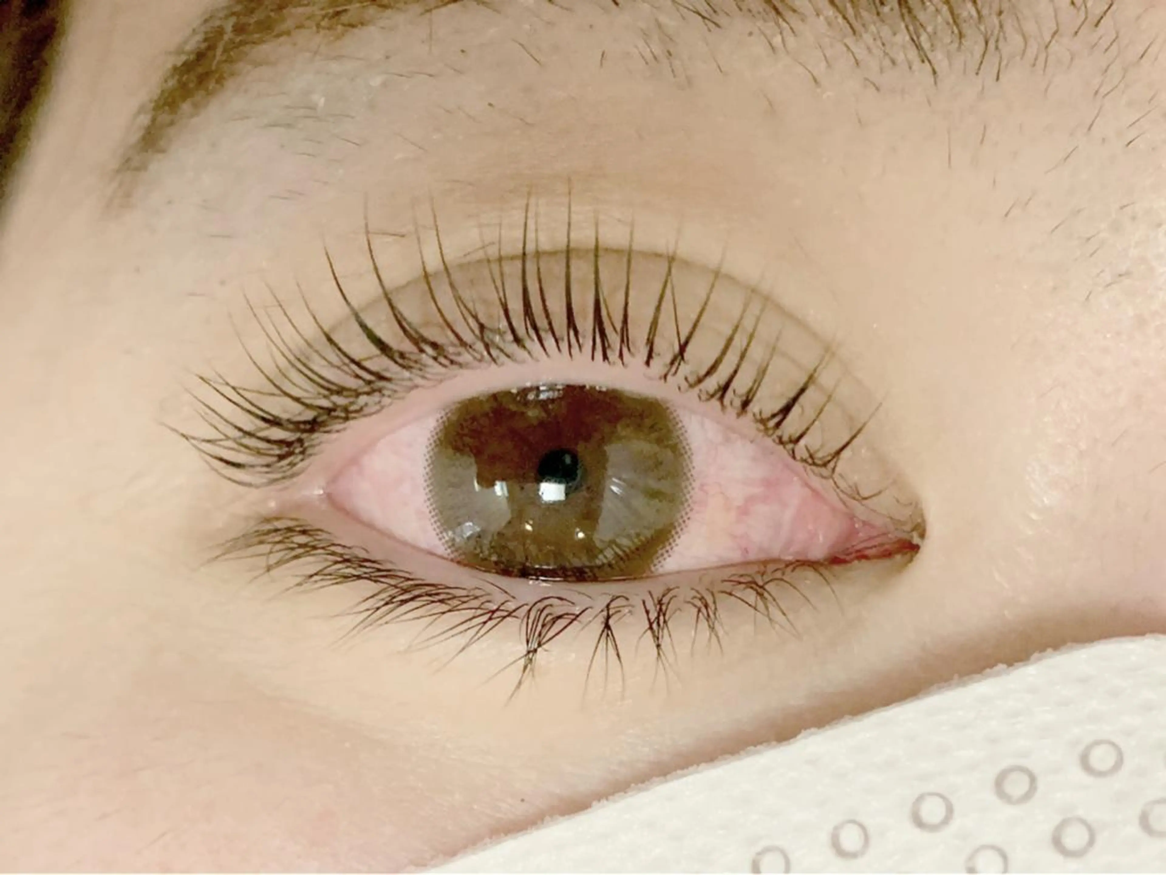 マツエク・マツパ パリジェンヌラッシュリフト passion茨木 【風張】のマツエク・マツパデザイン