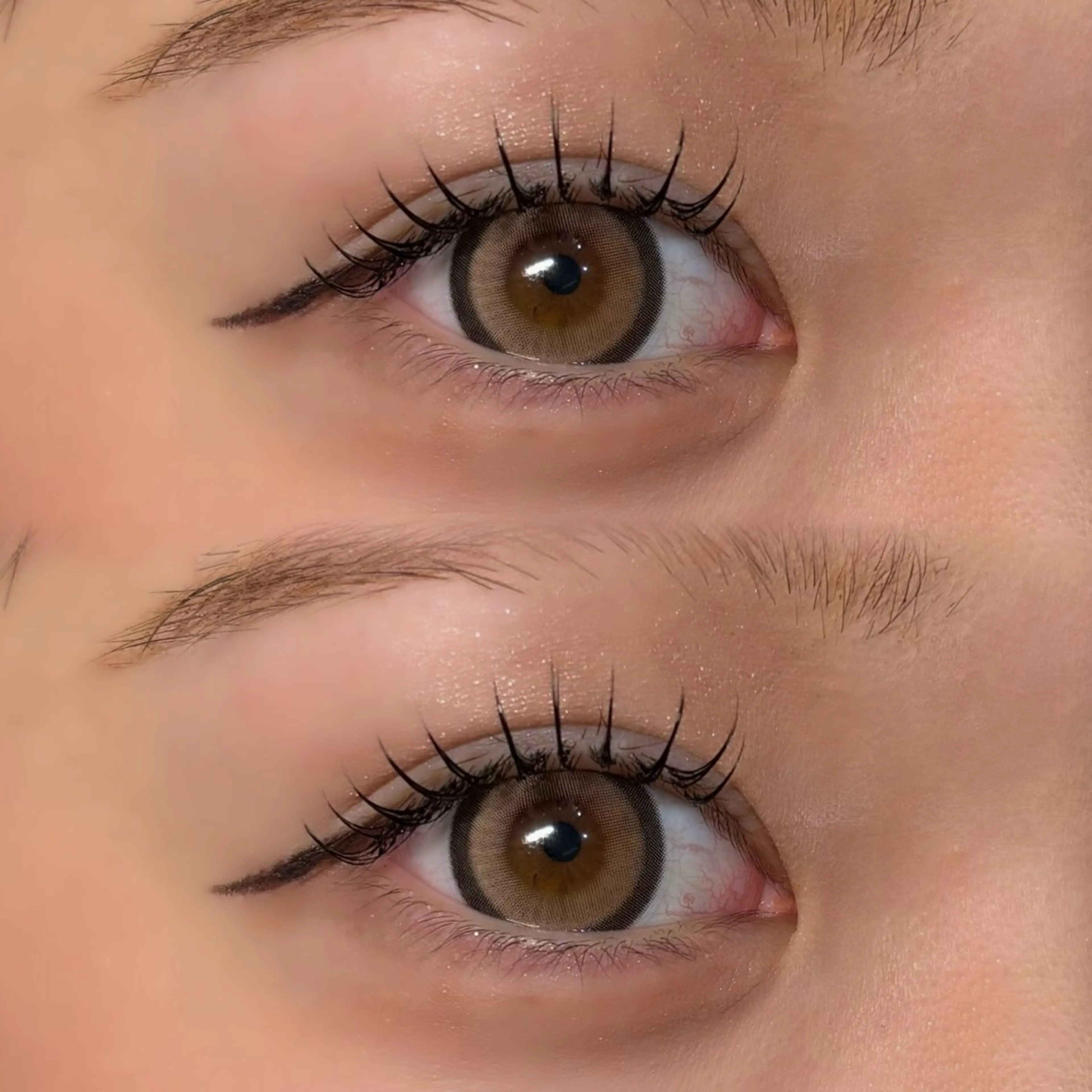 《❤️🎄Winter fair🎄❤️》LEDフラットラッシュ120本＋コーティング＋アイシャンプー付き🫧の写真