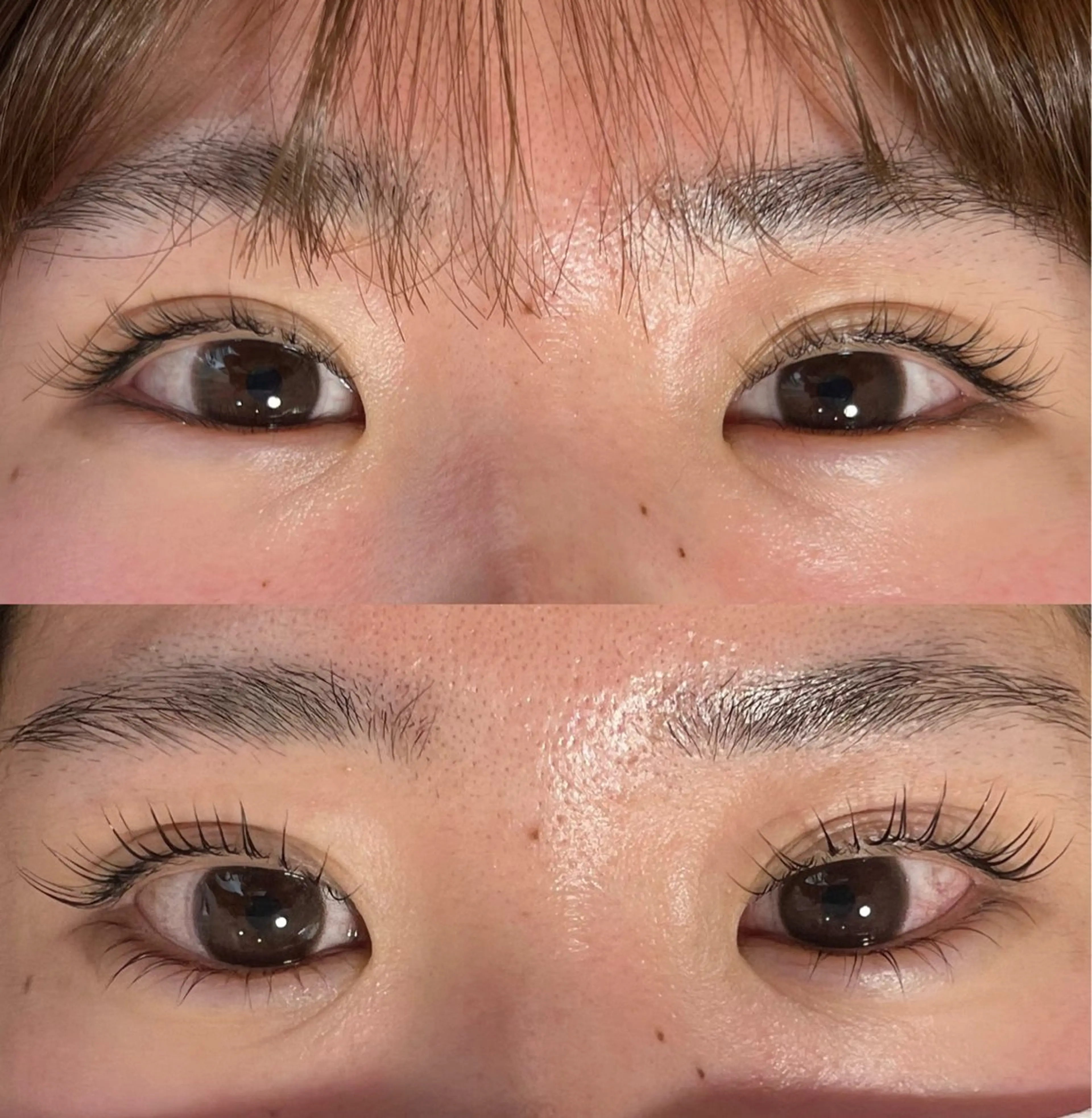 パリジェンヌラッシュリフト🐈の写真