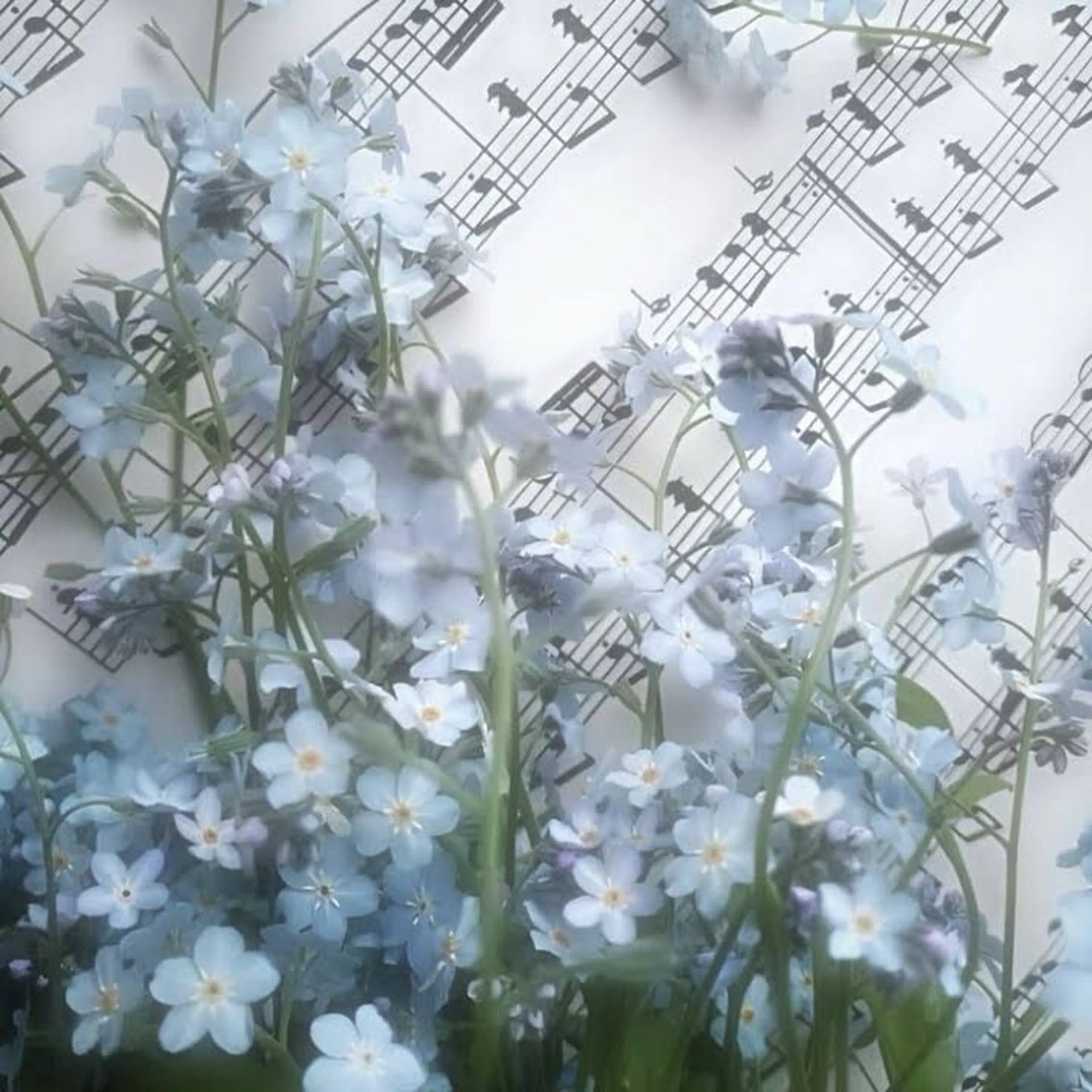 Bianca 銀座 Hinanoのネイルデザイン