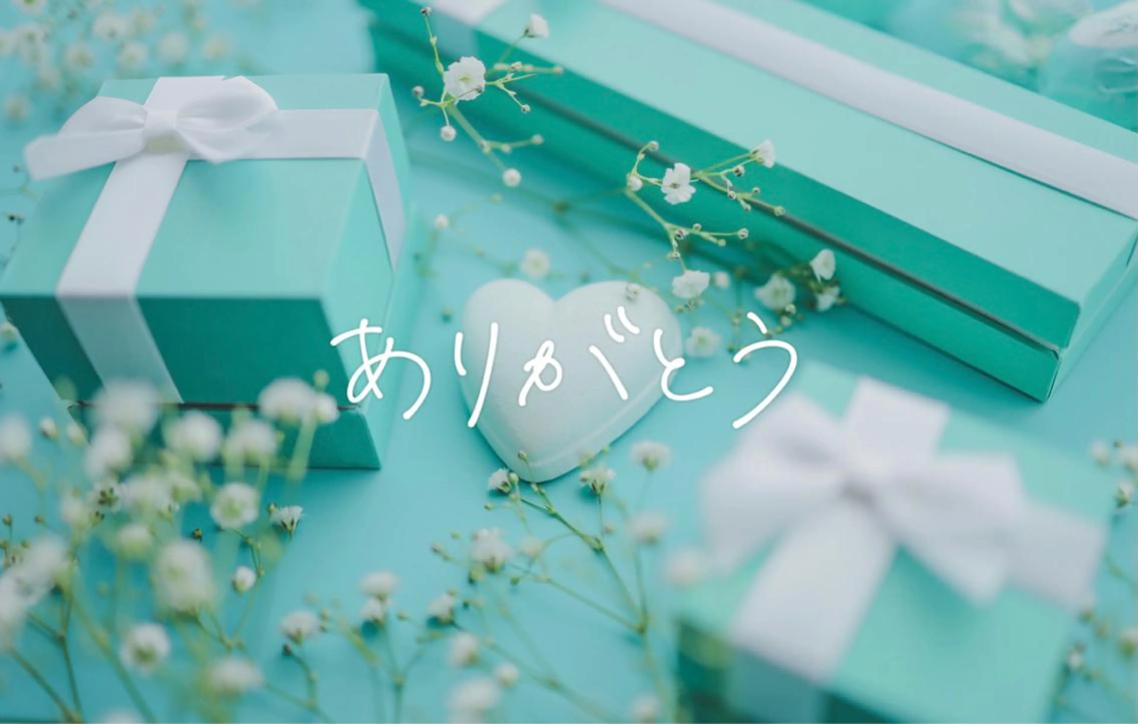 Elvita ビューティーサロンのエステ・リラクイメージ