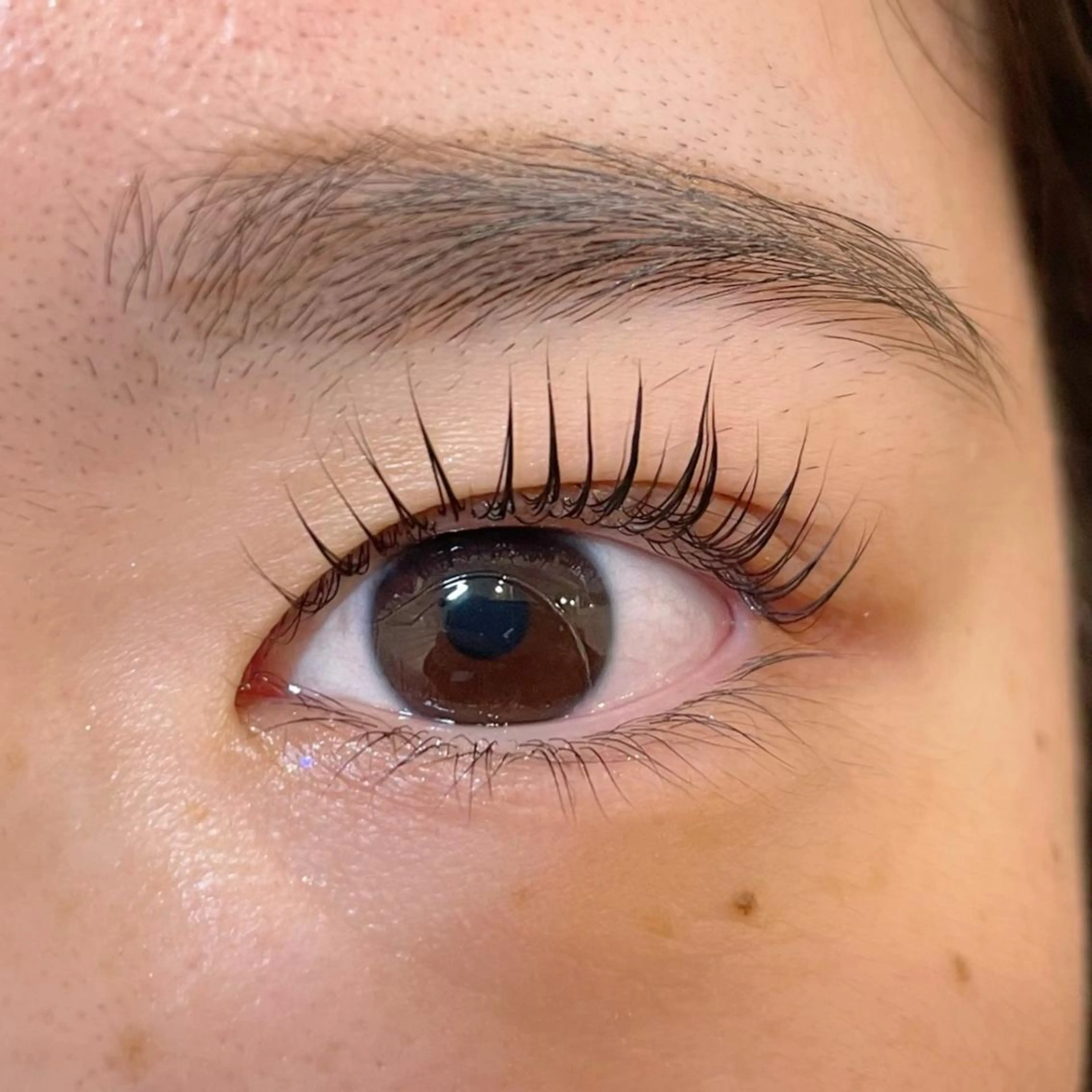 マツエク・マツパ Sakurablow 難波店　小嶋の眉毛・アイブロウイメージ