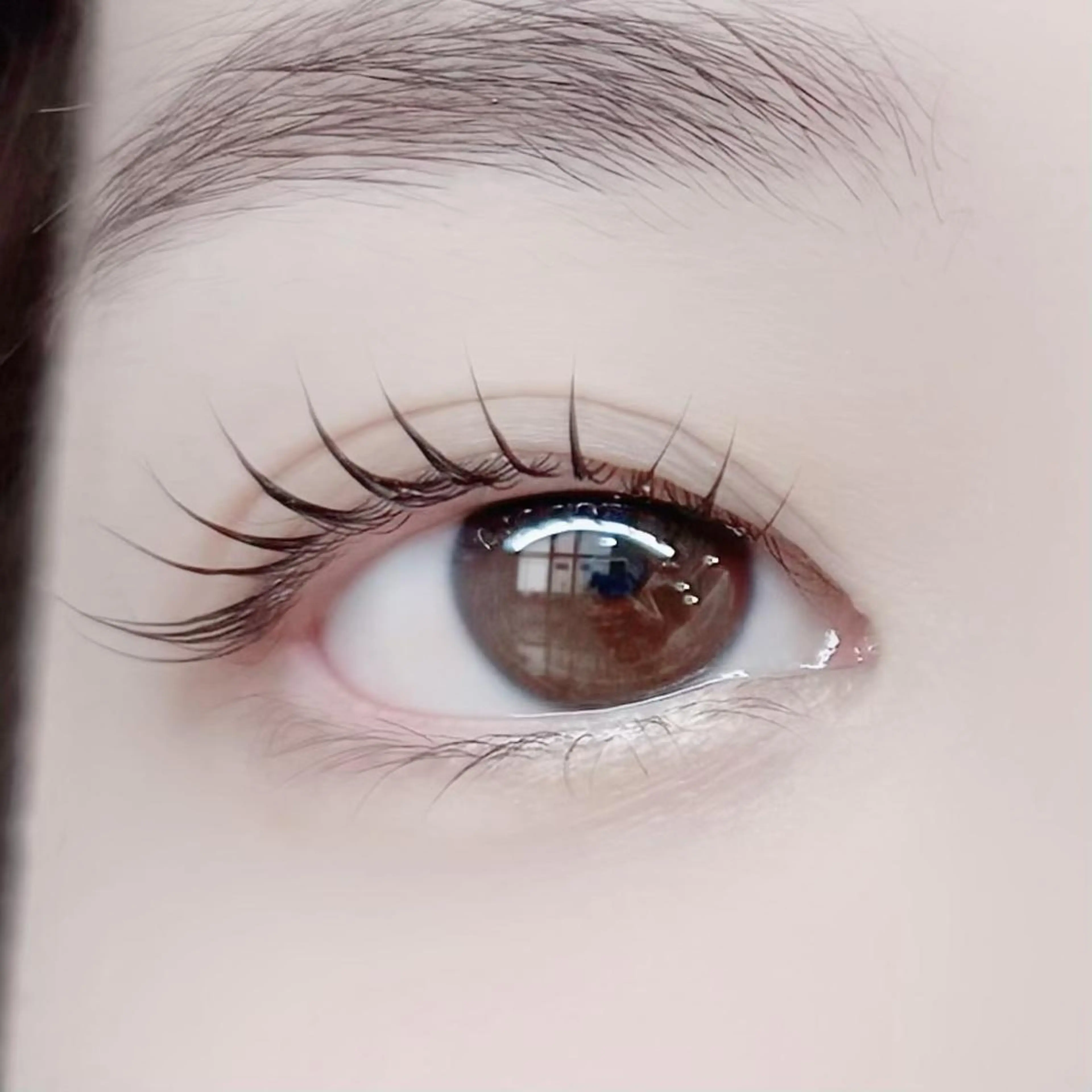 マツエク・マツパ ナチュラル 一重×まつ毛パーマ マツパ 🌻まつ毛&眉毛 yukimi⛄️🖤の眉毛・アイブロウイメージ