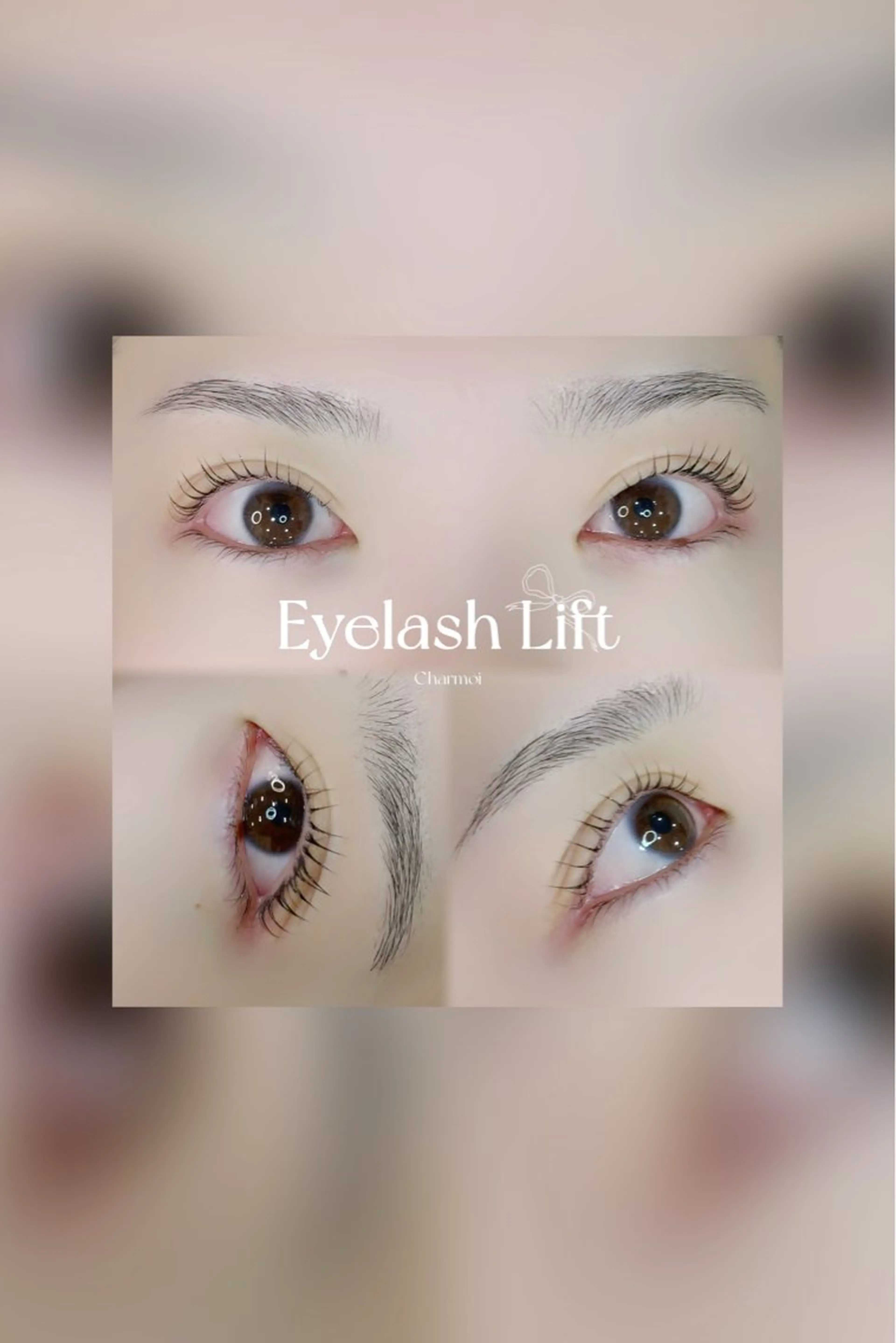 🎄クリスマスクーポン🎅【上下】まつげパーマ🫧の写真