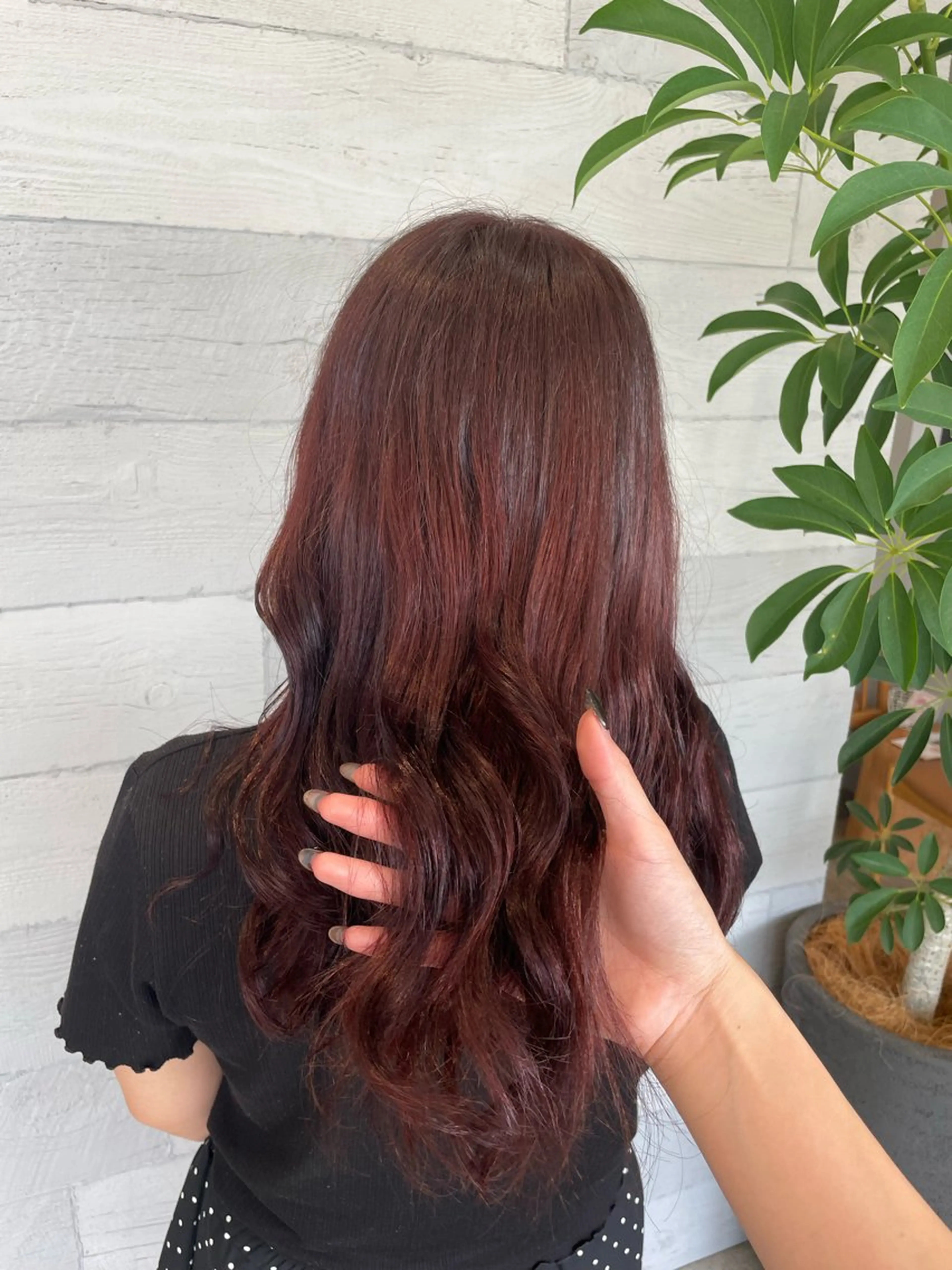 クリスマス限定メニュー🌟💎カット＋透明感抜群カラー💎の写真