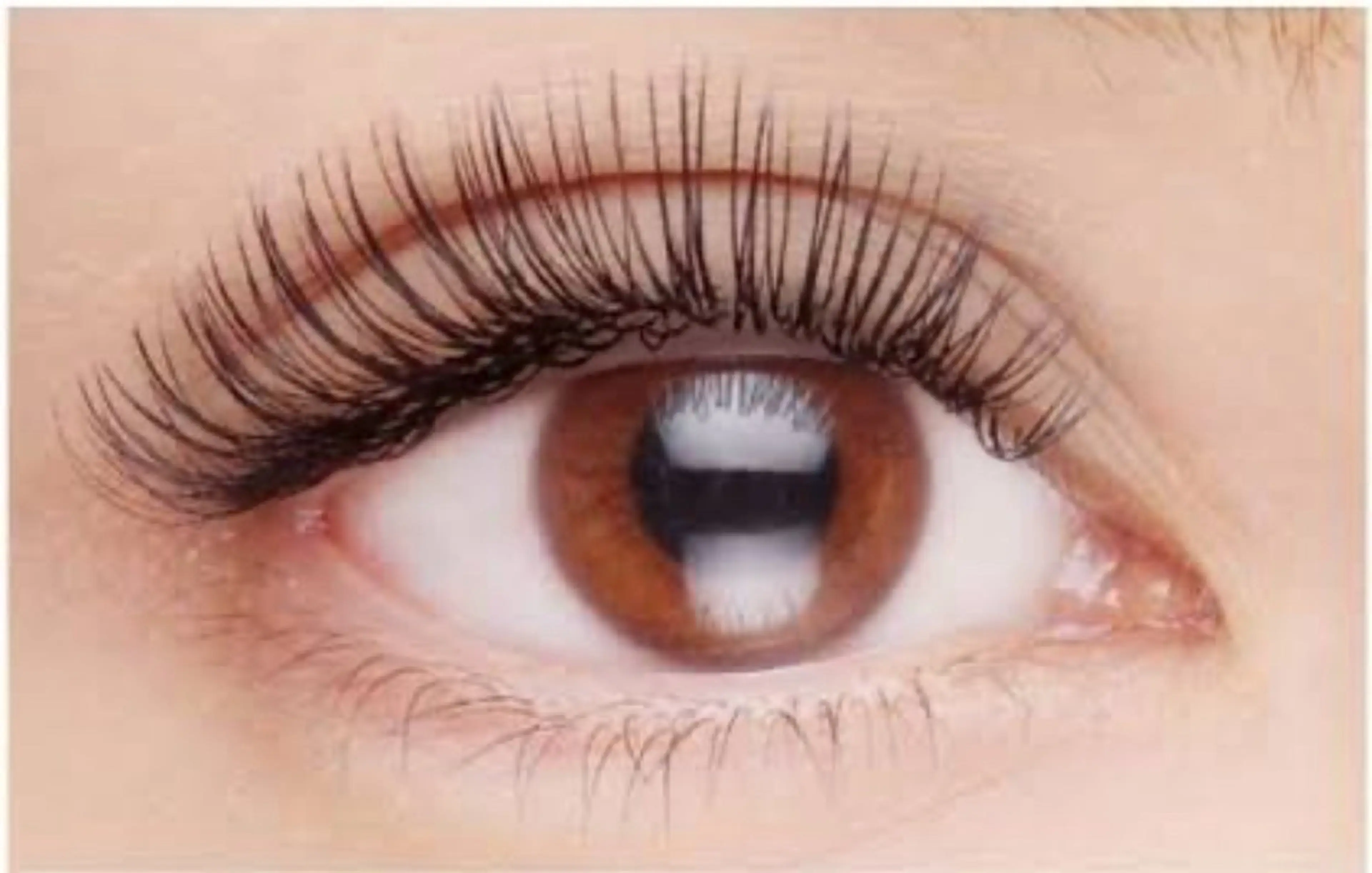 マツエク付け放題（シングル）の写真