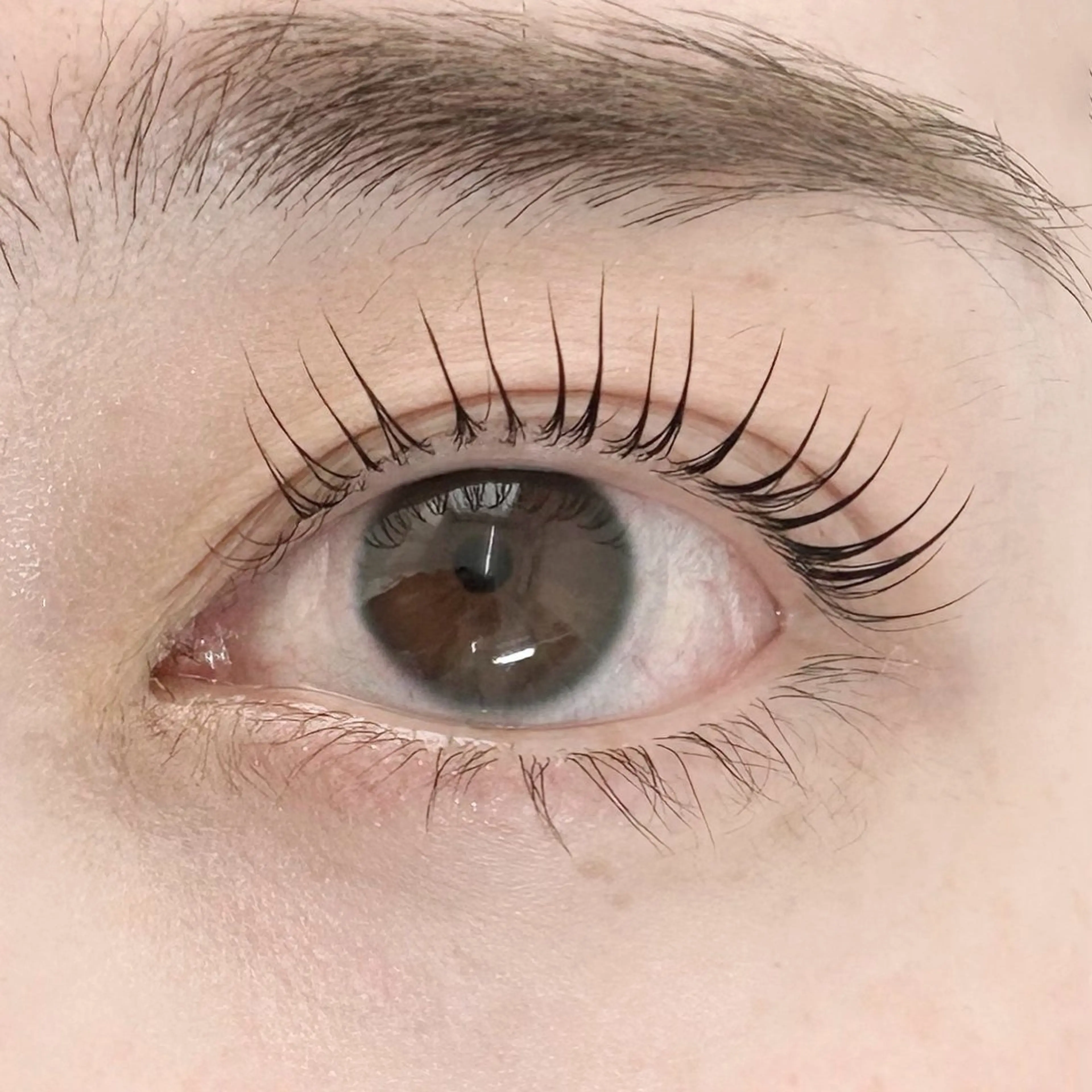 マツエク・マツパ マツパ LuLu / まつパ 🥀akaneのマツエク・マツパデザイン