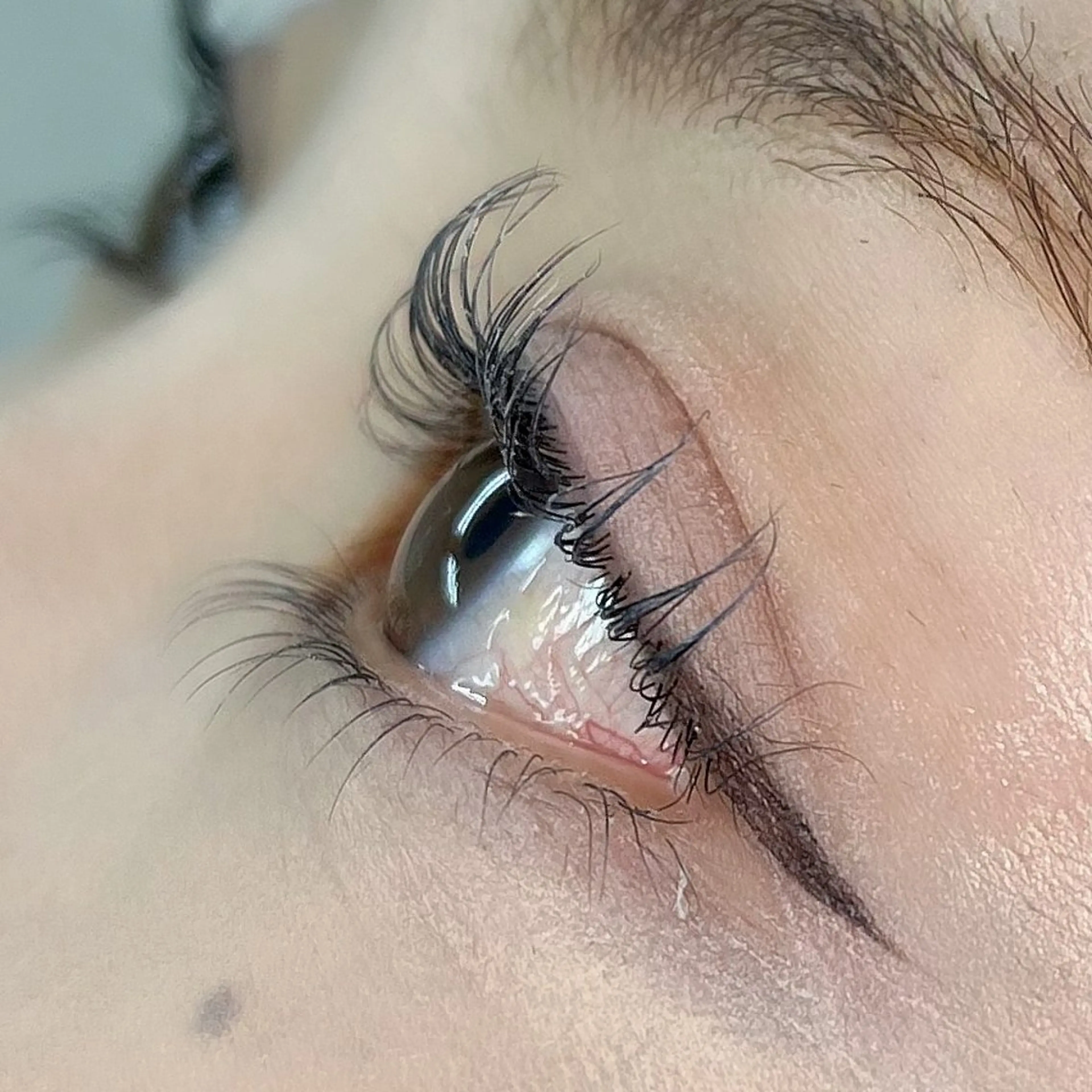 マツエク・マツパ まつげパーマ 下まつげエクステ 🌺 SAKI 🌺のマツエク・マツパデザイン