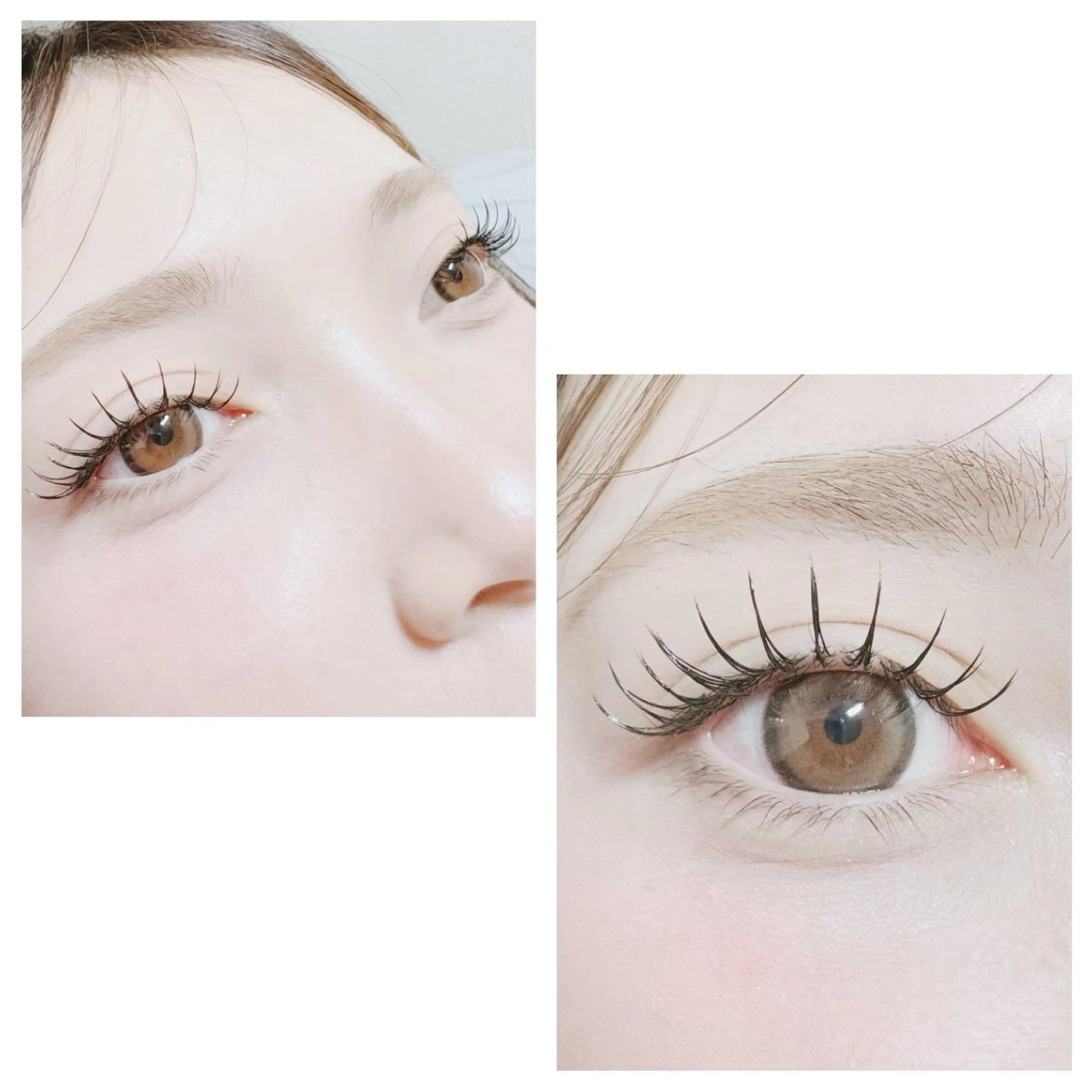 マツエク・マツパ plume eyelashのマツエク・マツパデザイン