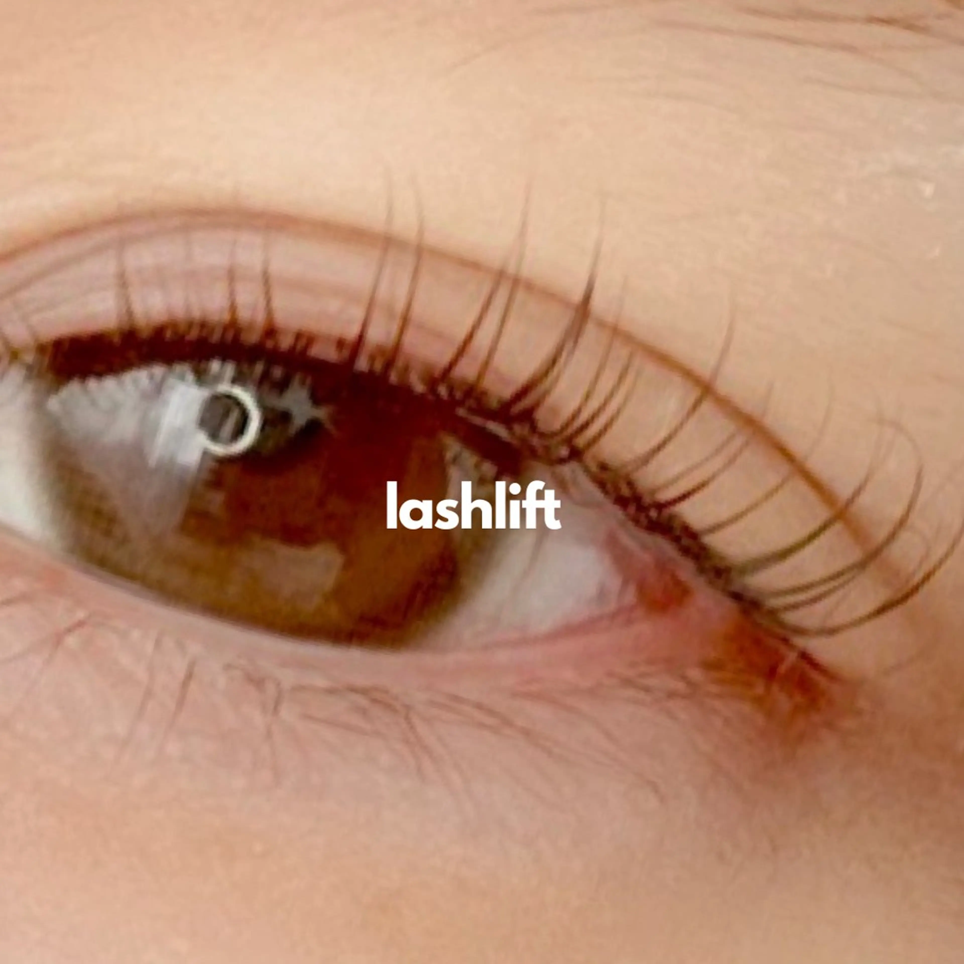 マツエク・マツパ 《eyelash ｉｉｔｅ》森のマツエク・マツパデザイン