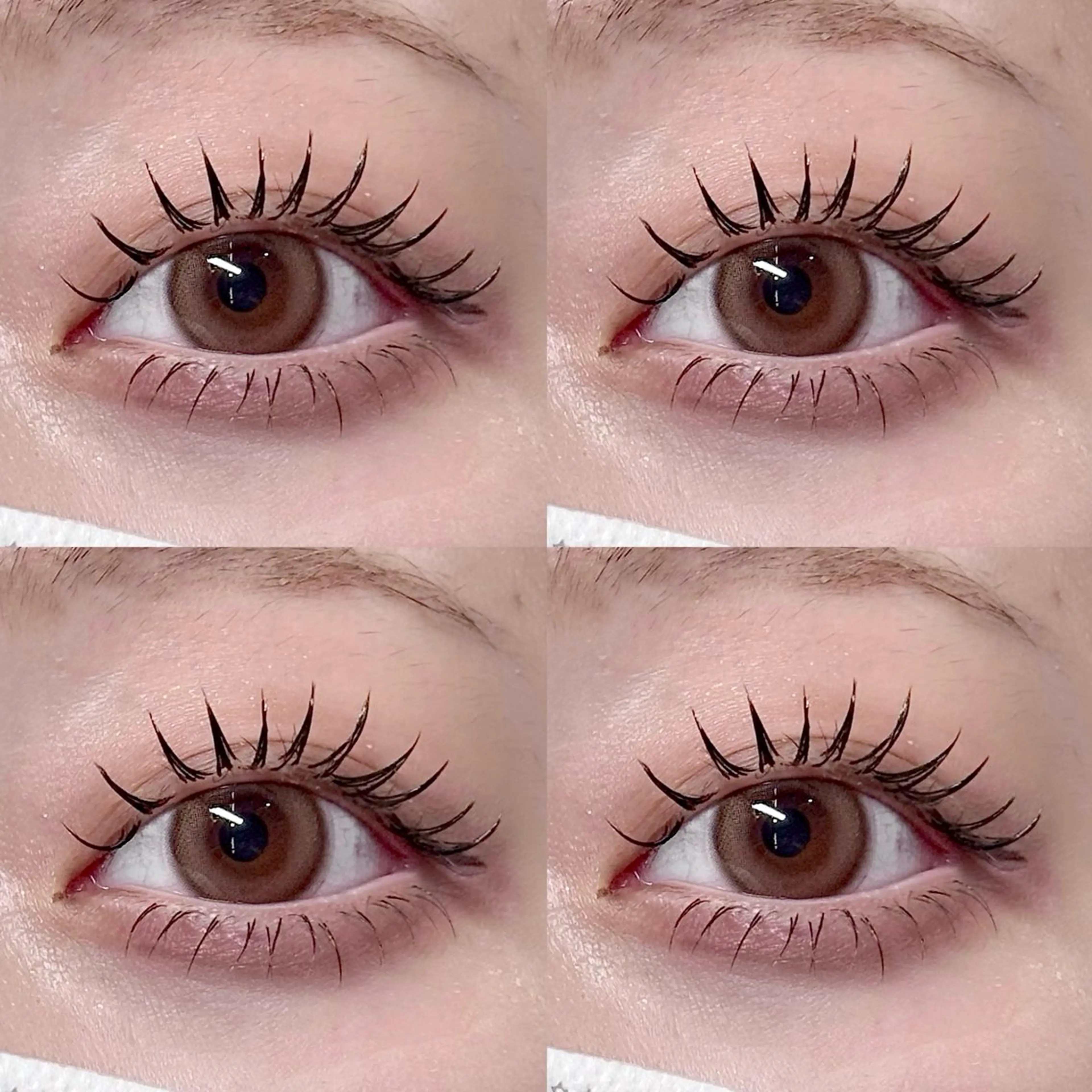 マツエク・マツパ CINDY【シンディ】大井町店所属・Cindy  大井町 🩶 asakaのマツエク・マツパデザイン