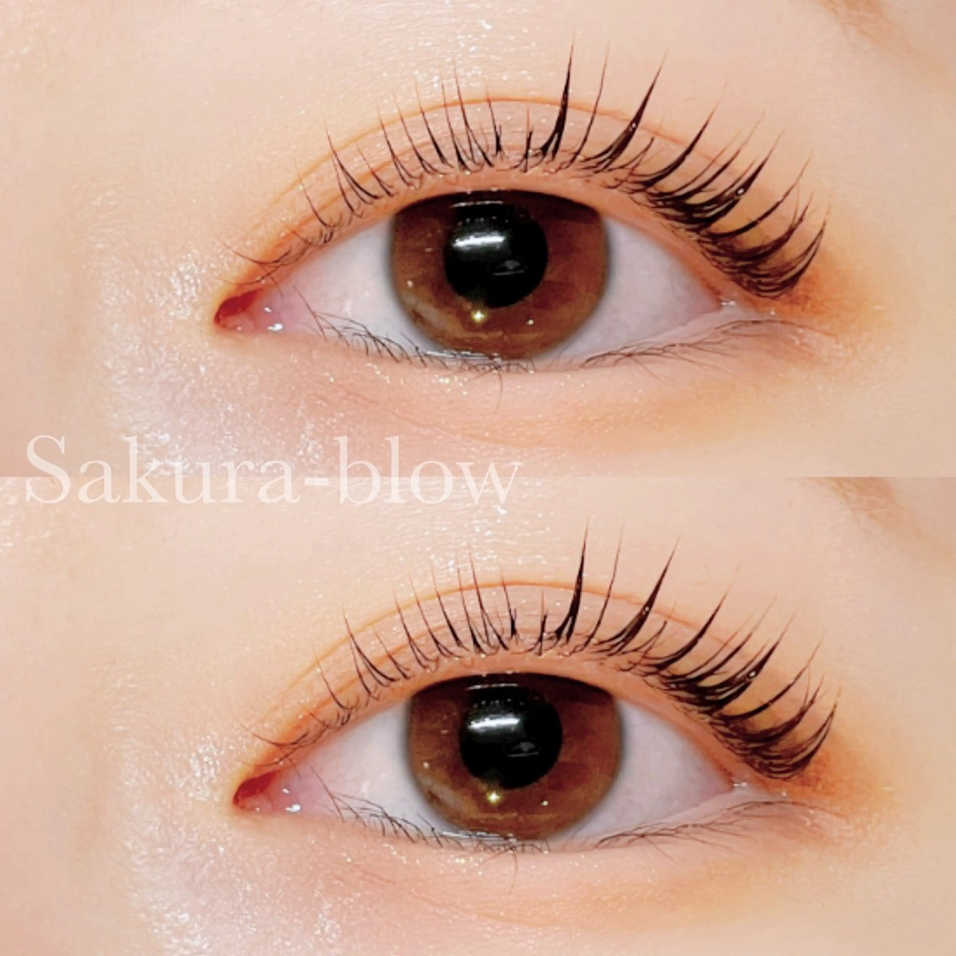 マツエク・マツパ パリジェンヌラッシュリフト Sakura-blow梅田店所属・Sakurablow 大槻のマツエク・マツパデザイン